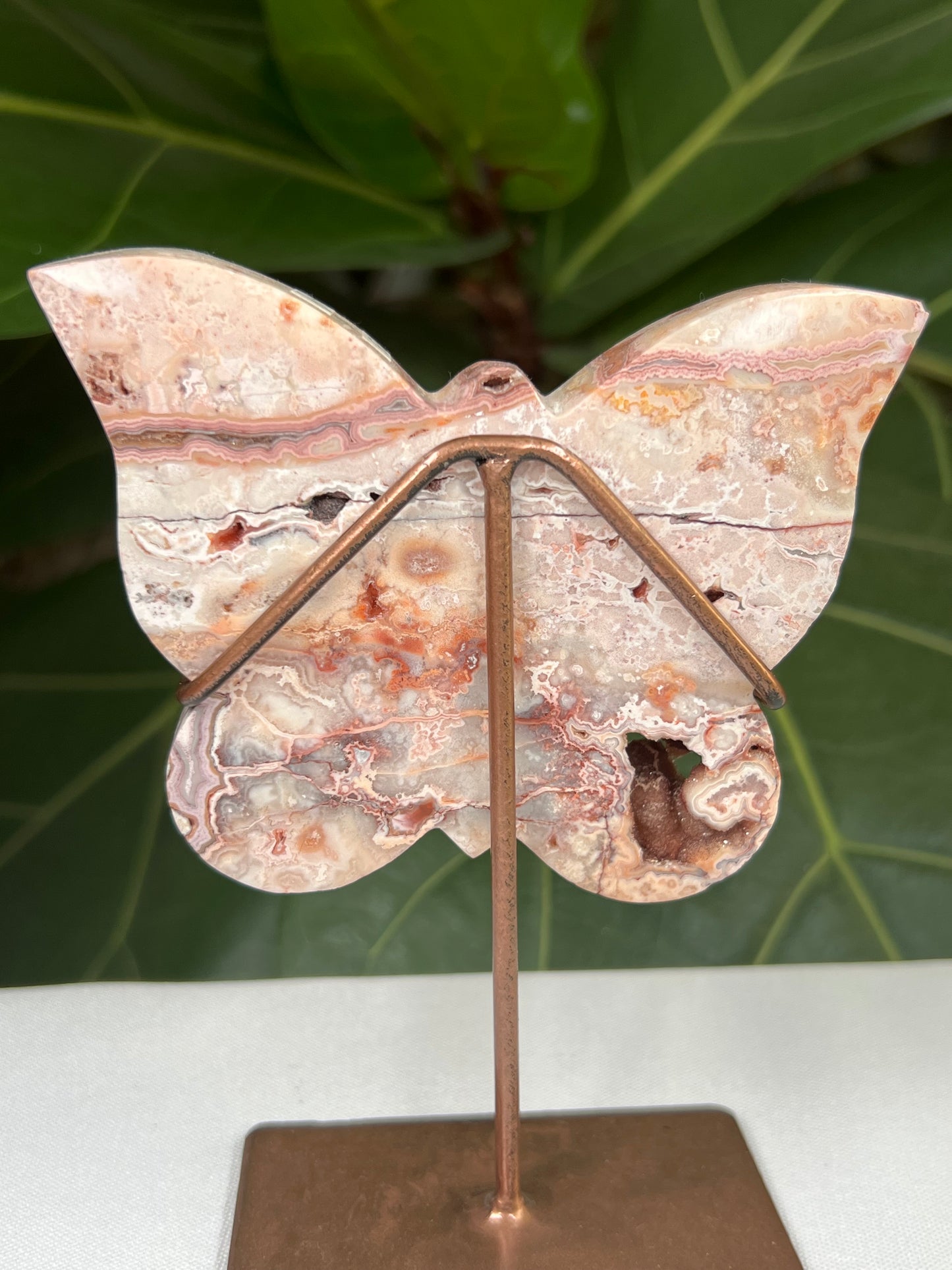 Crazy Lace Agate Butterfly