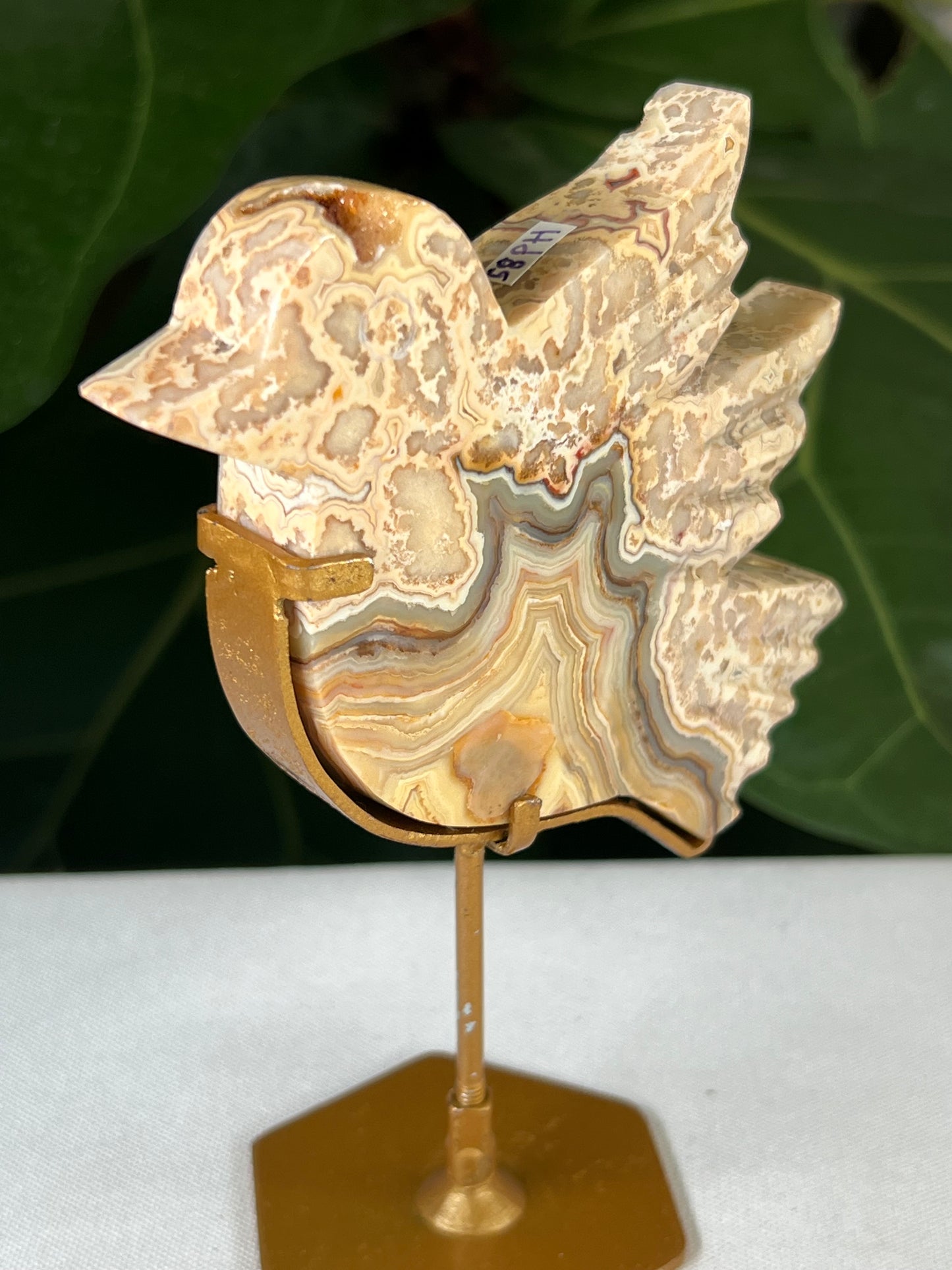 Crazy Lace Agate Bird