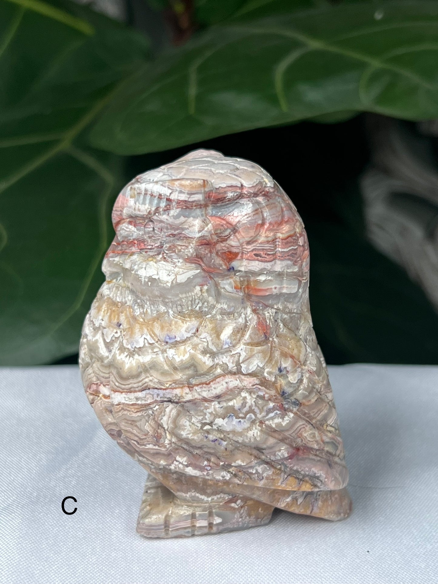 Crazy Lace Agate Owl