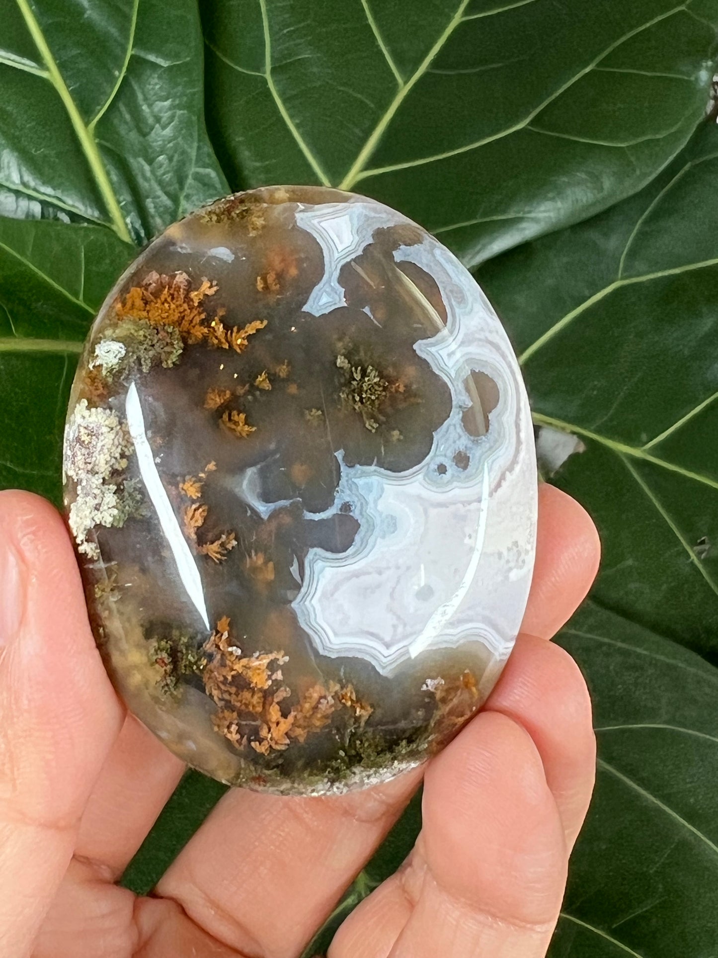 Scenic Moss Agate Palmstone