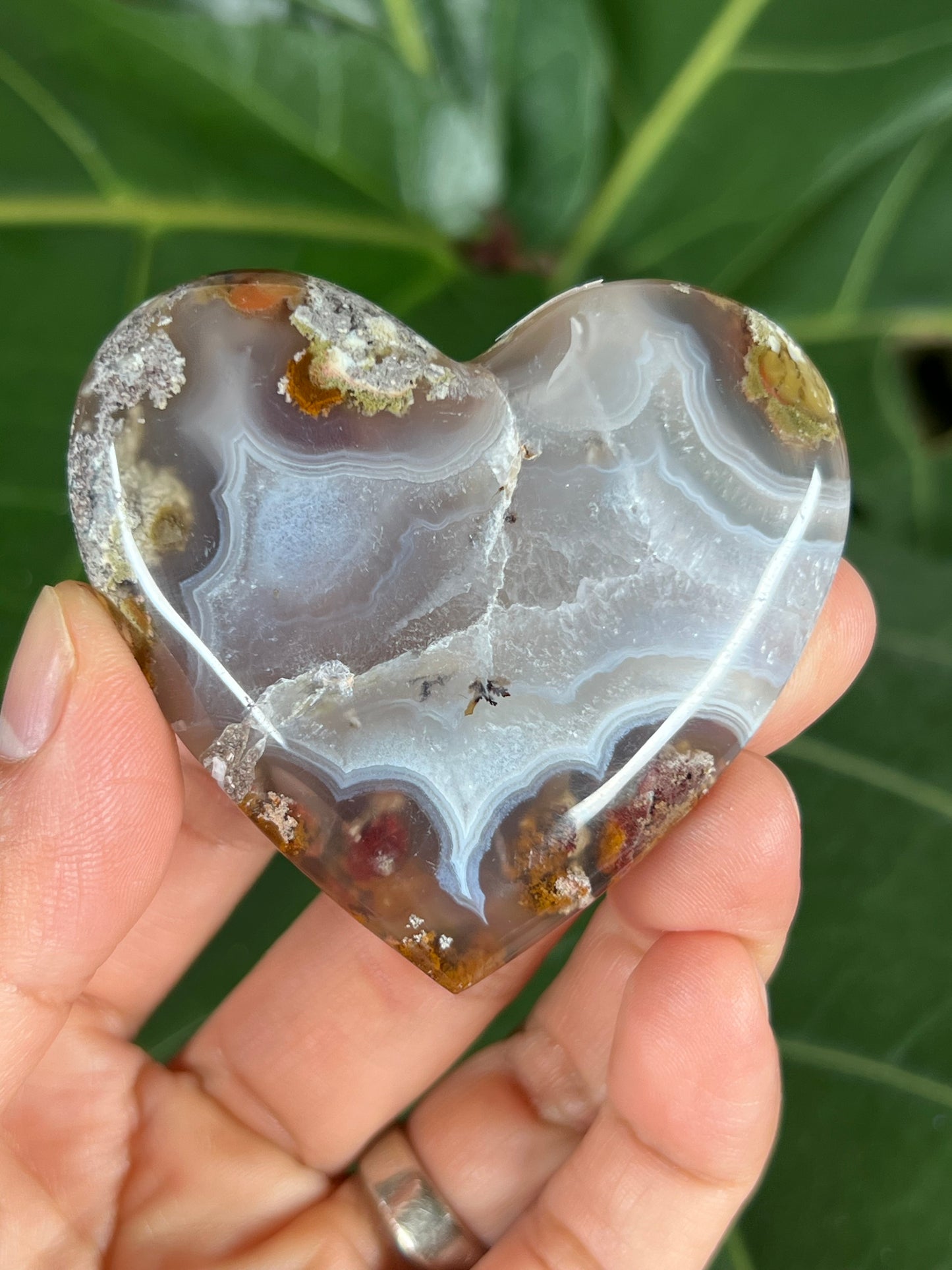 Scenic Moss Agate Heart