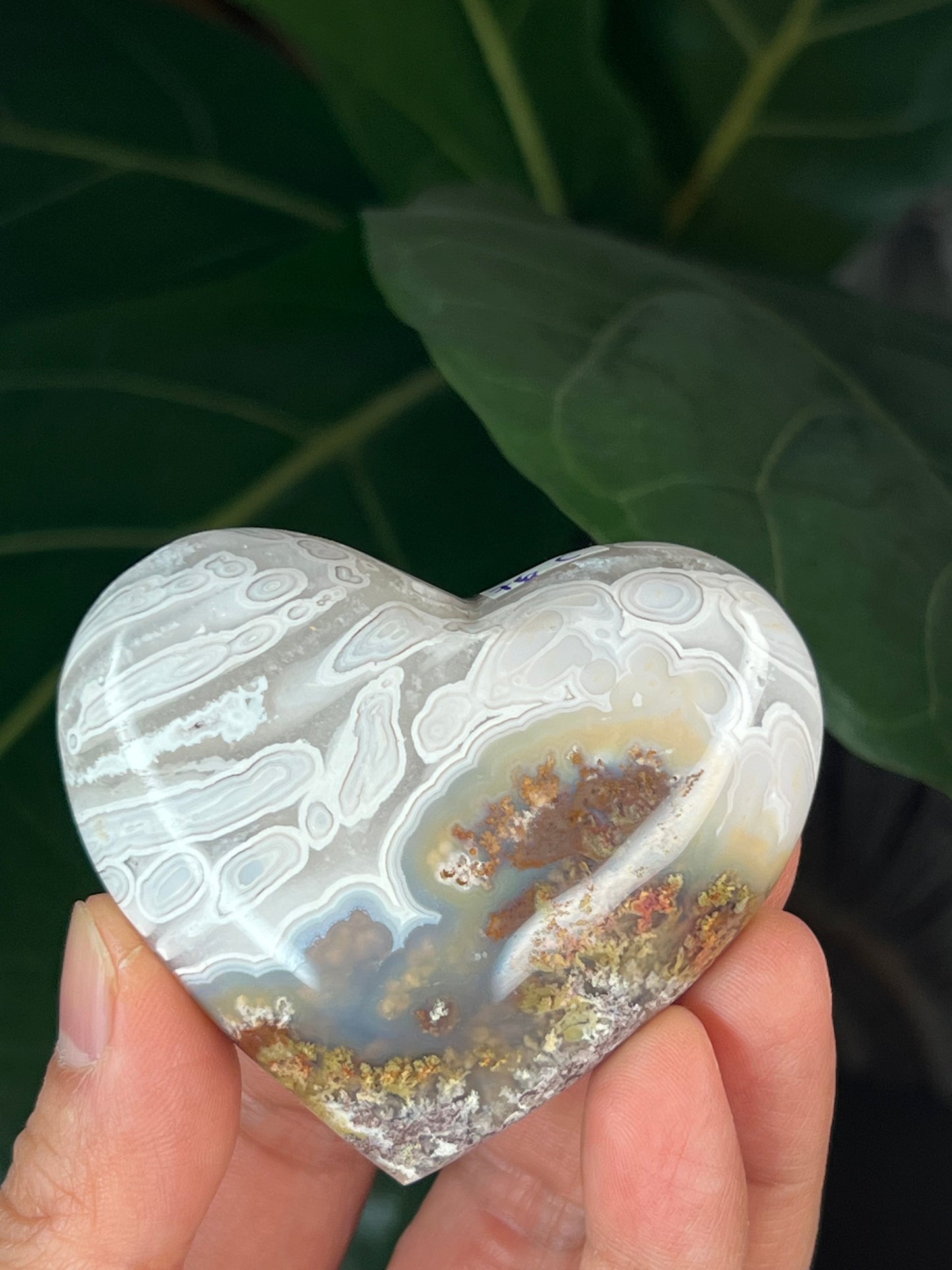 Scenic Moss Agate Heart