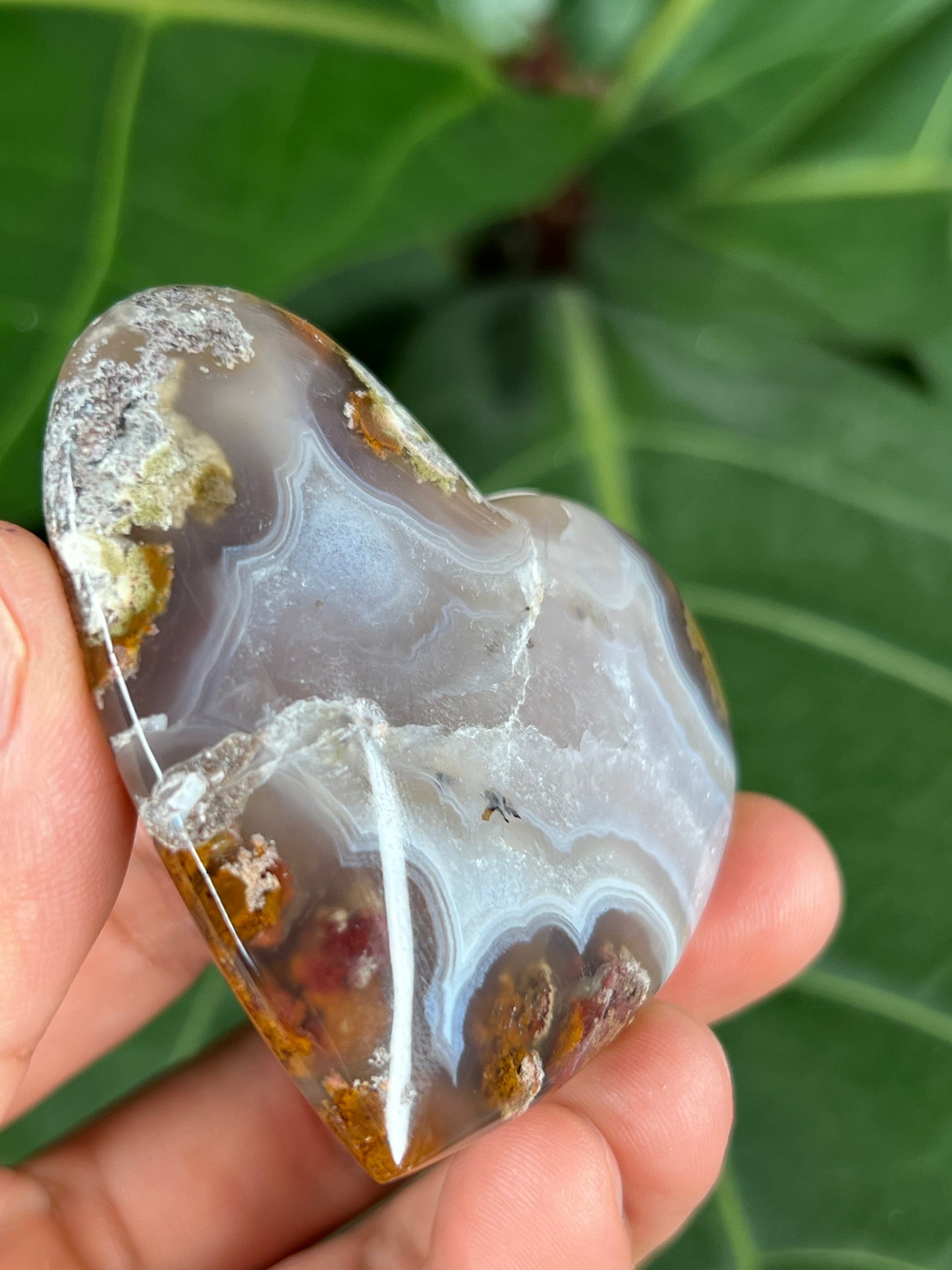 Scenic Moss Agate Heart