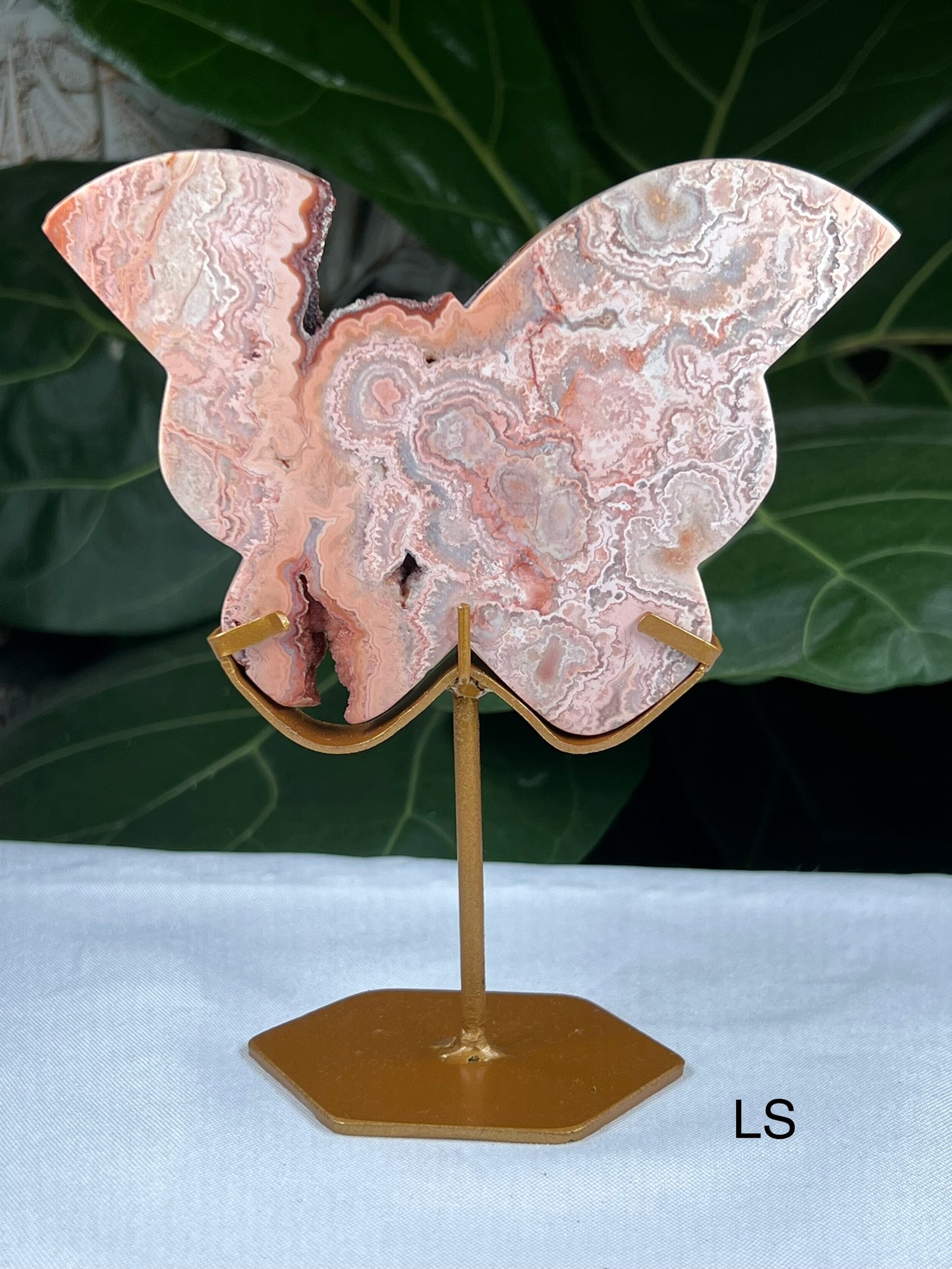 Crazy Lace Agate Butterfly