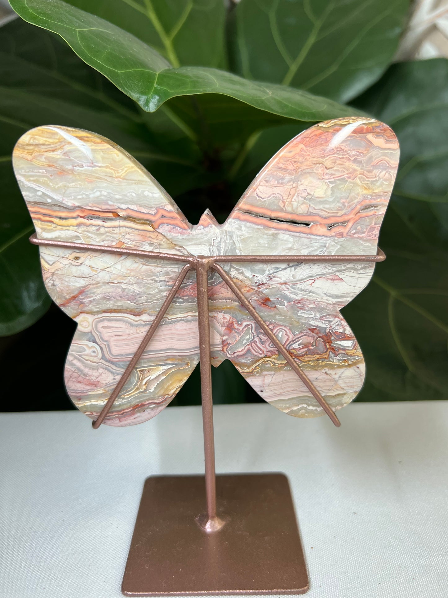 Crazy Lace Agate Butterfly