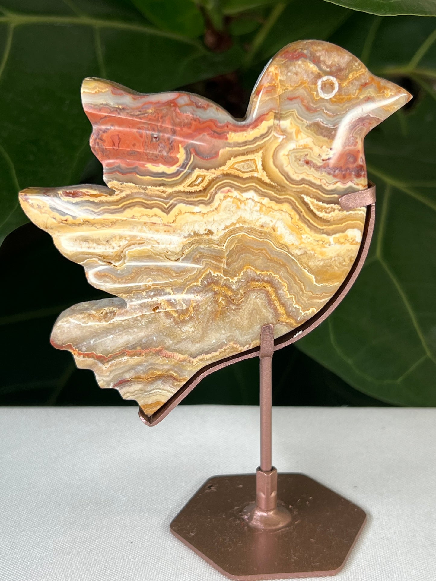 Crazy Lace Agate Bird