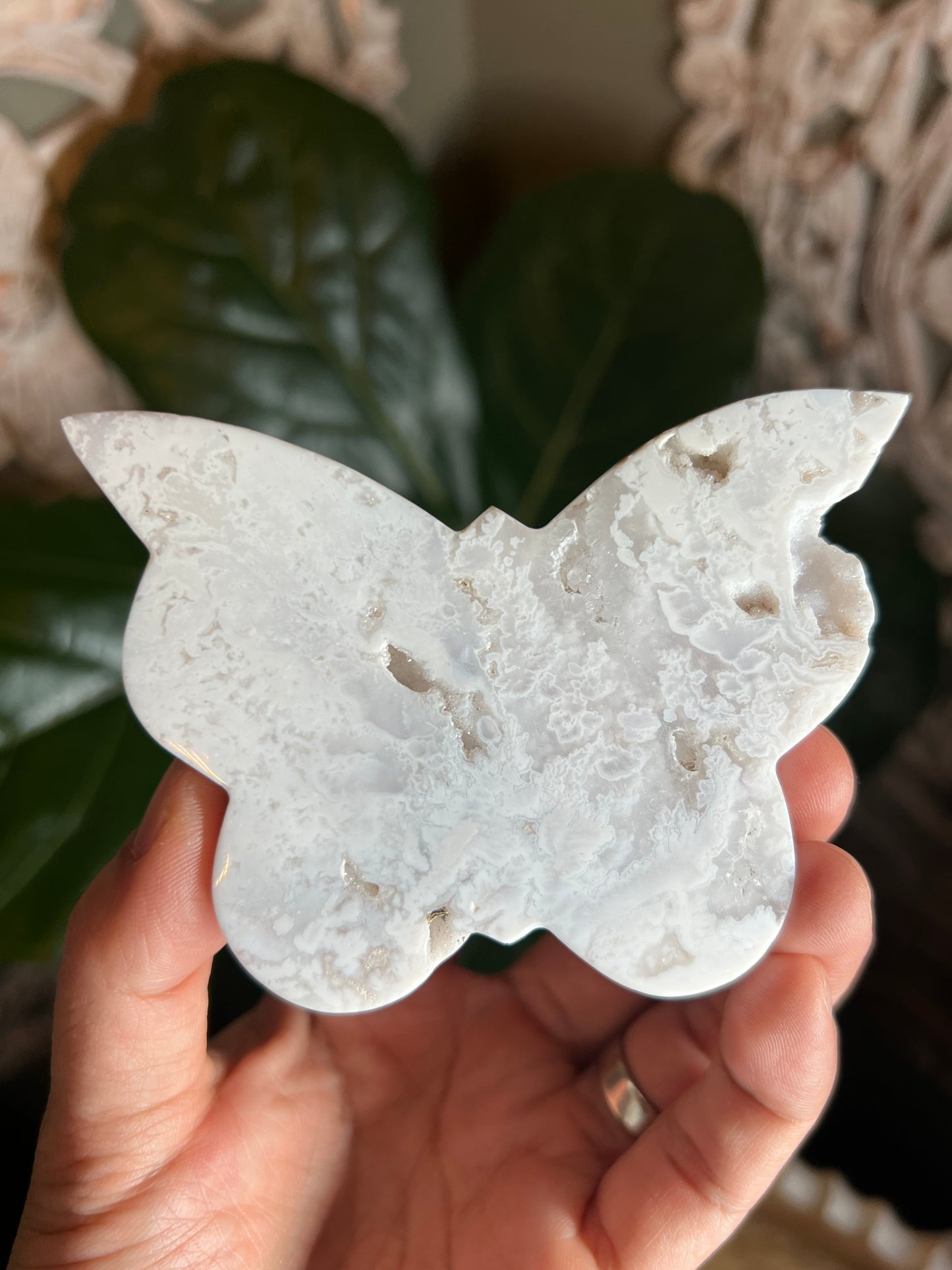 White Plume Agate Butterfly