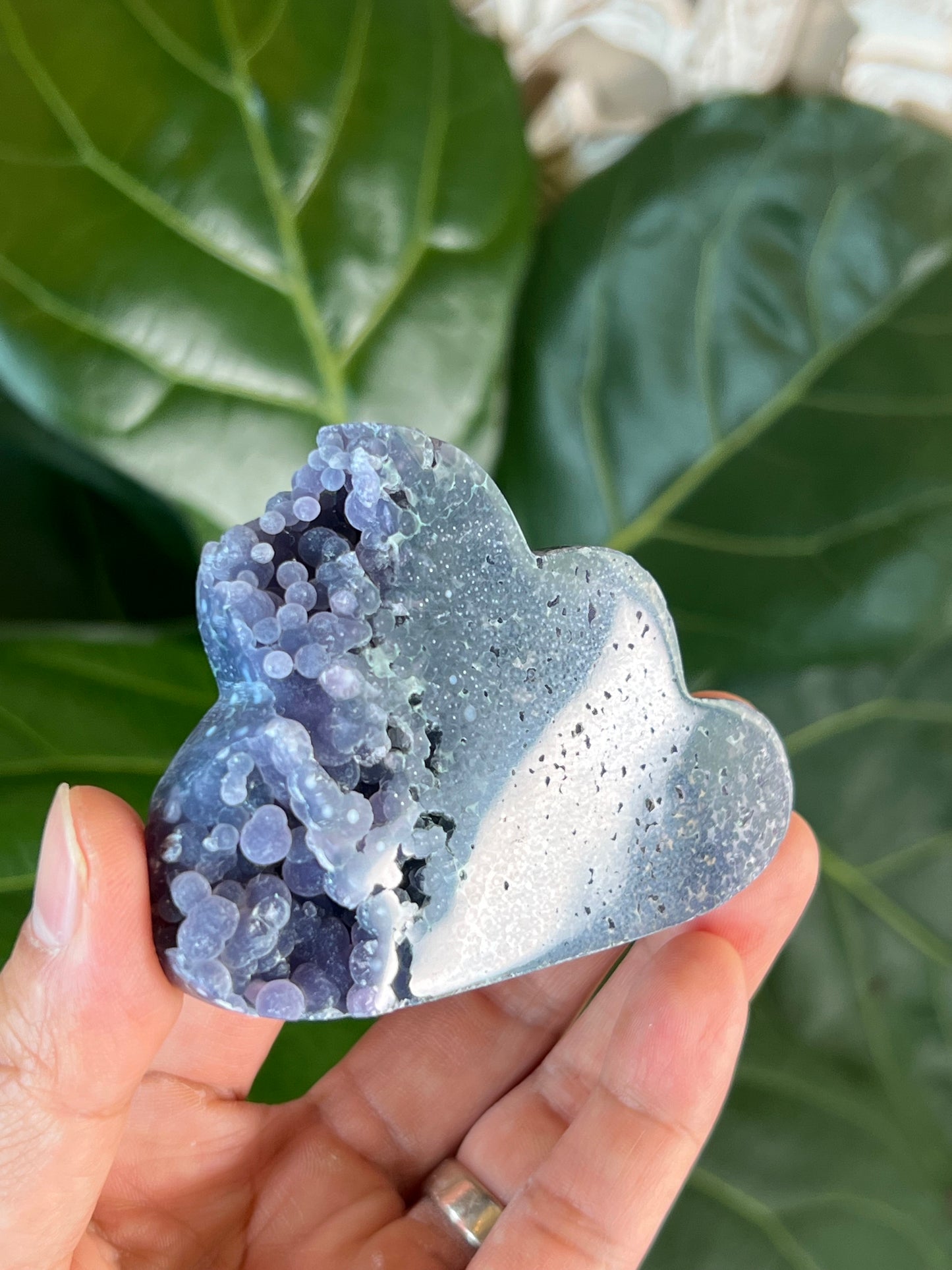 Grape Agate Cloud