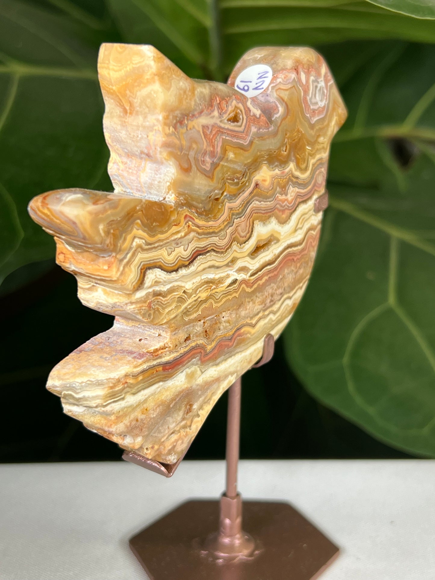 Crazy Lace Agate Bird