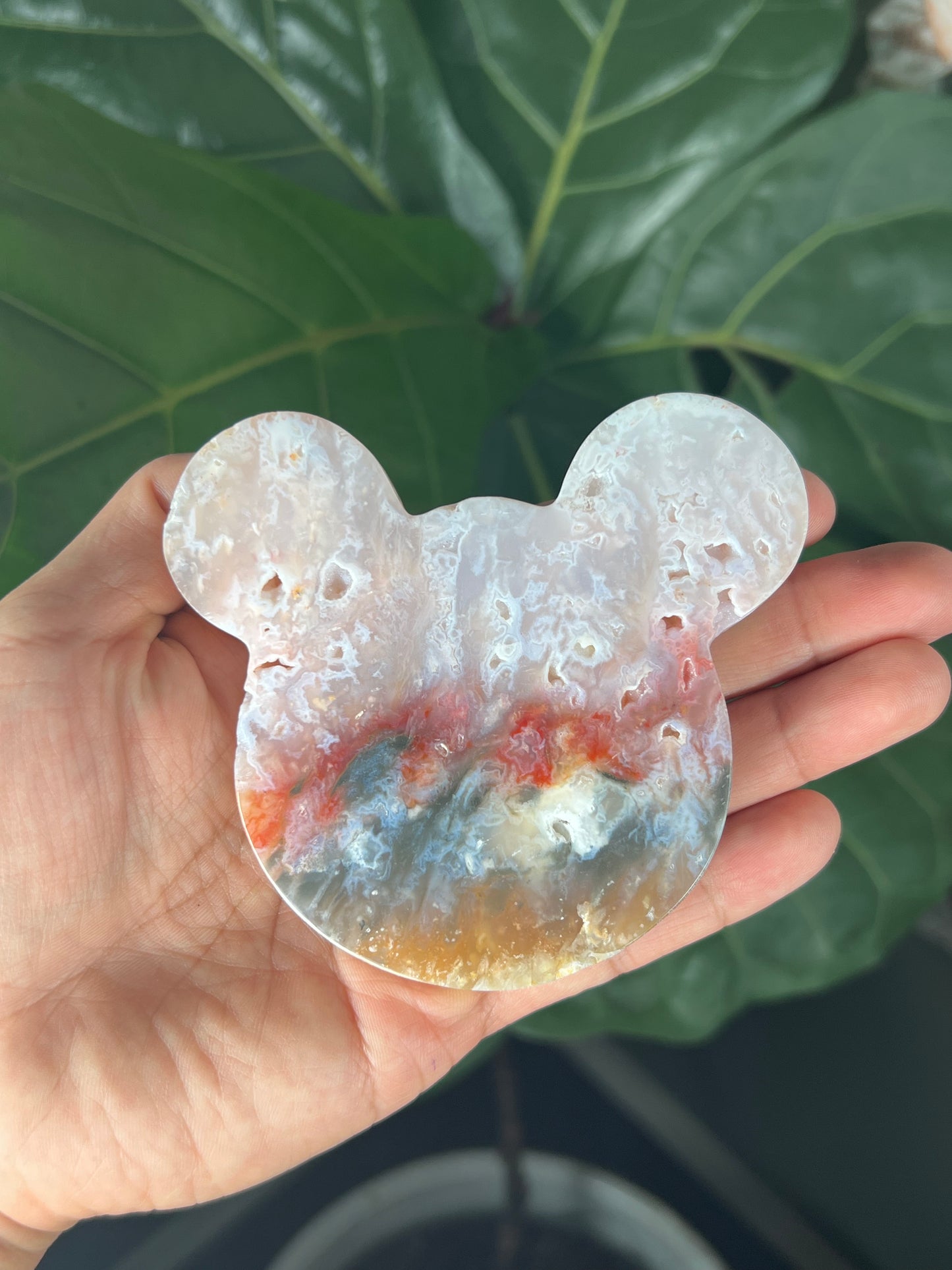 Rainbow Plume Agate Bear