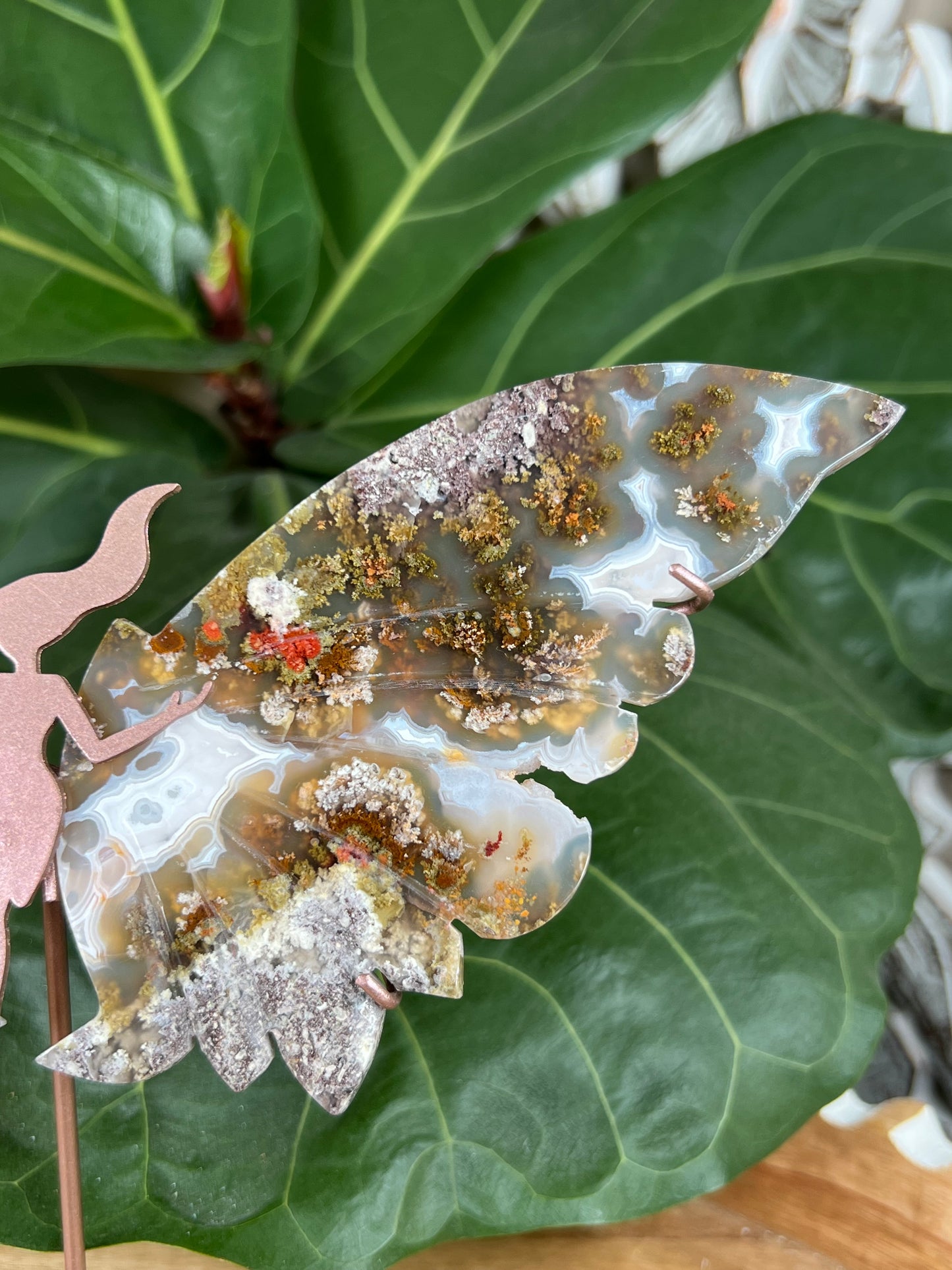 Scenic moss agate wings