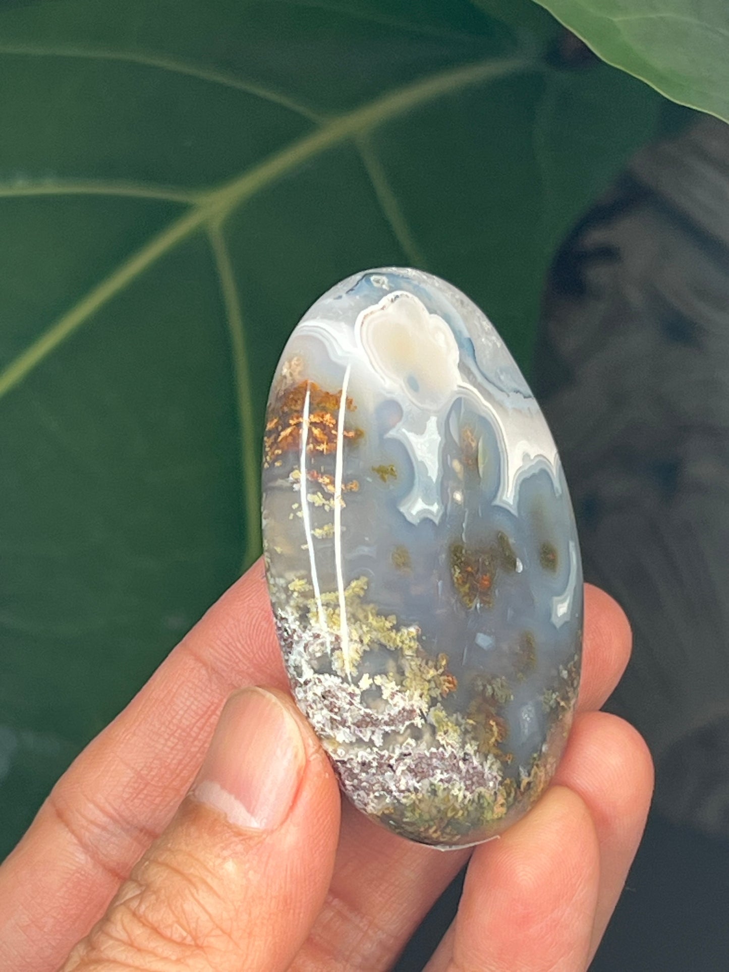 Scenic Moss Agate Palmstone