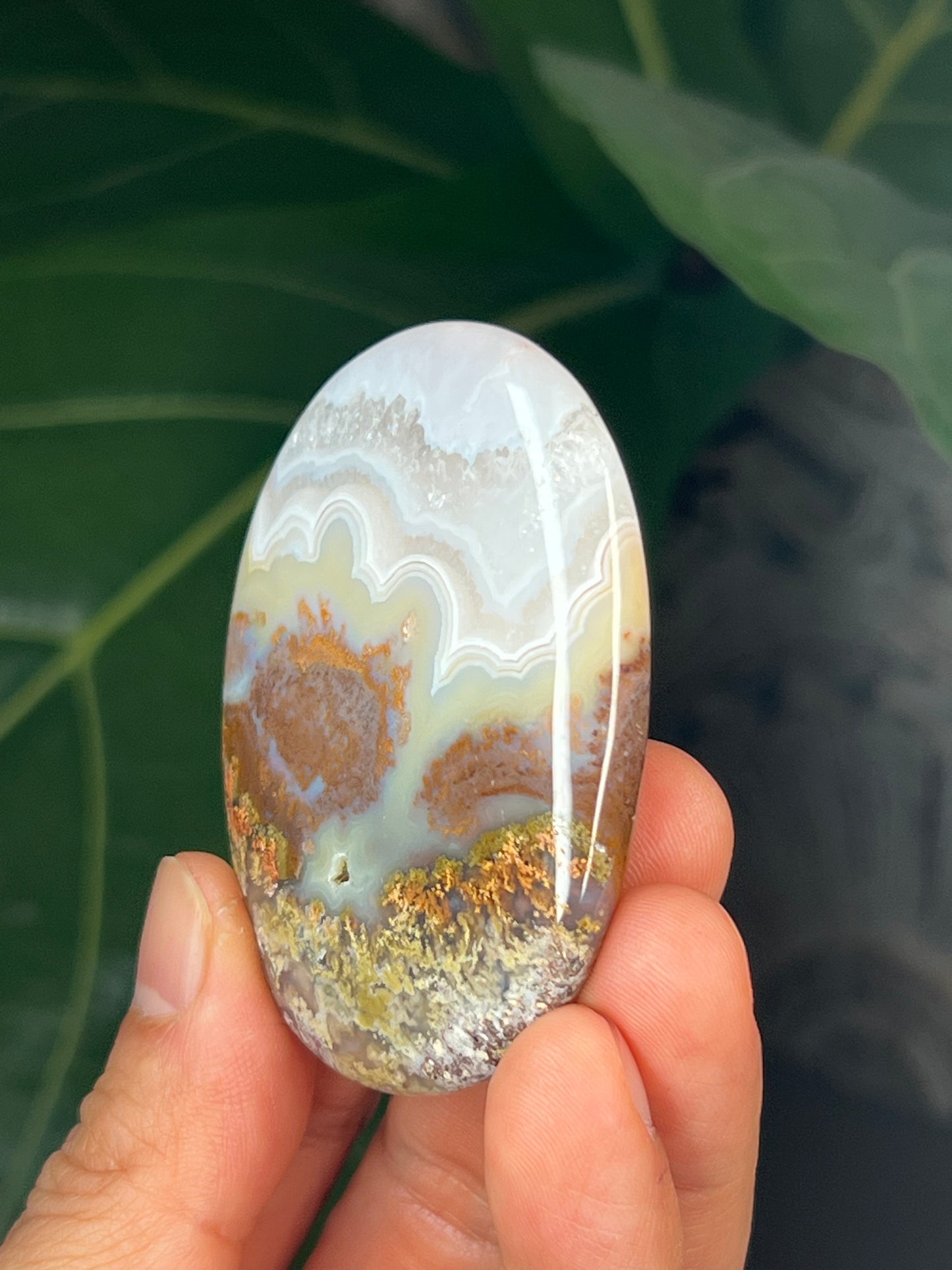 Scenic Moss Agate Palmstone