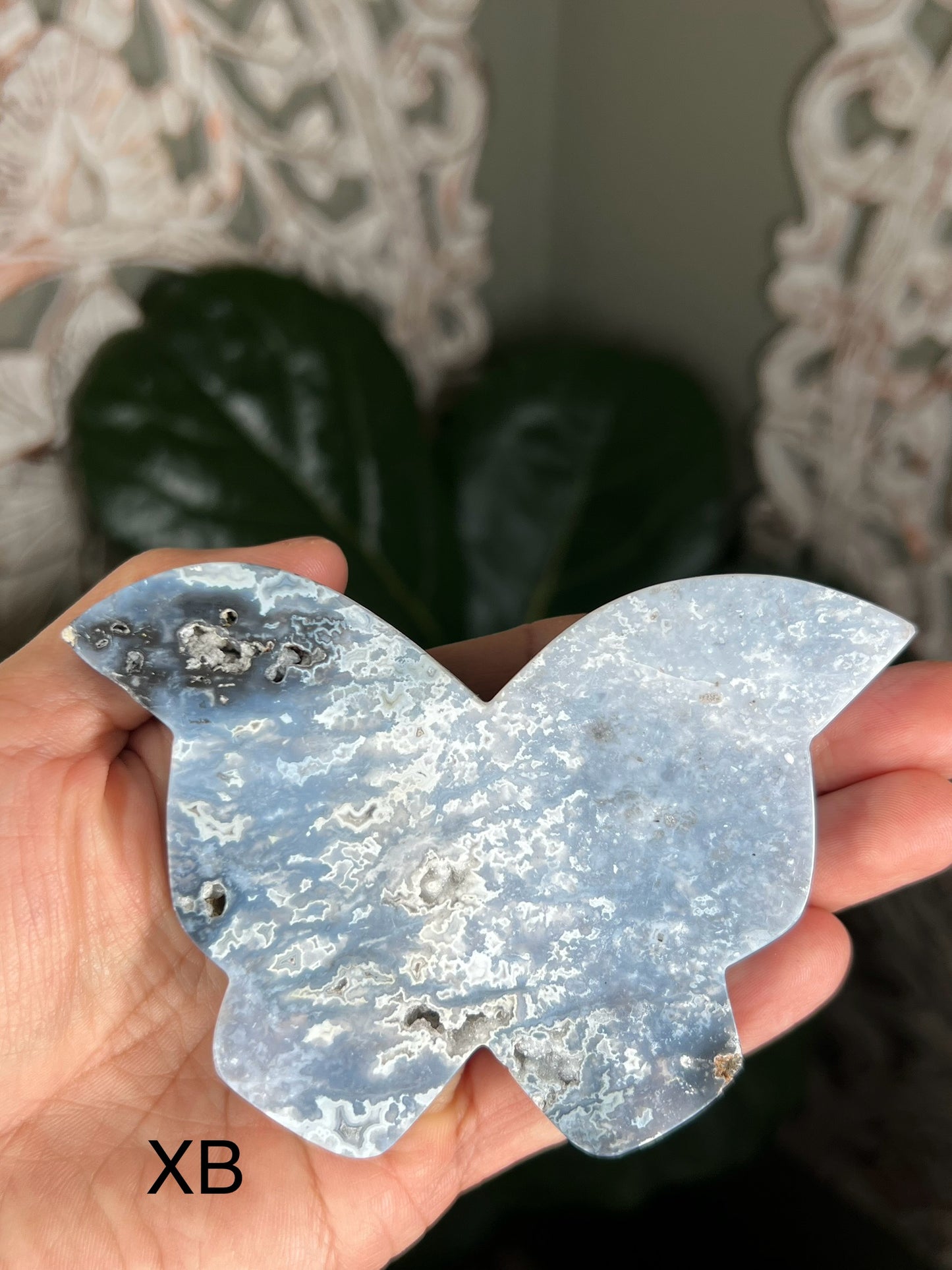 Blue Plume Agate Butterfly