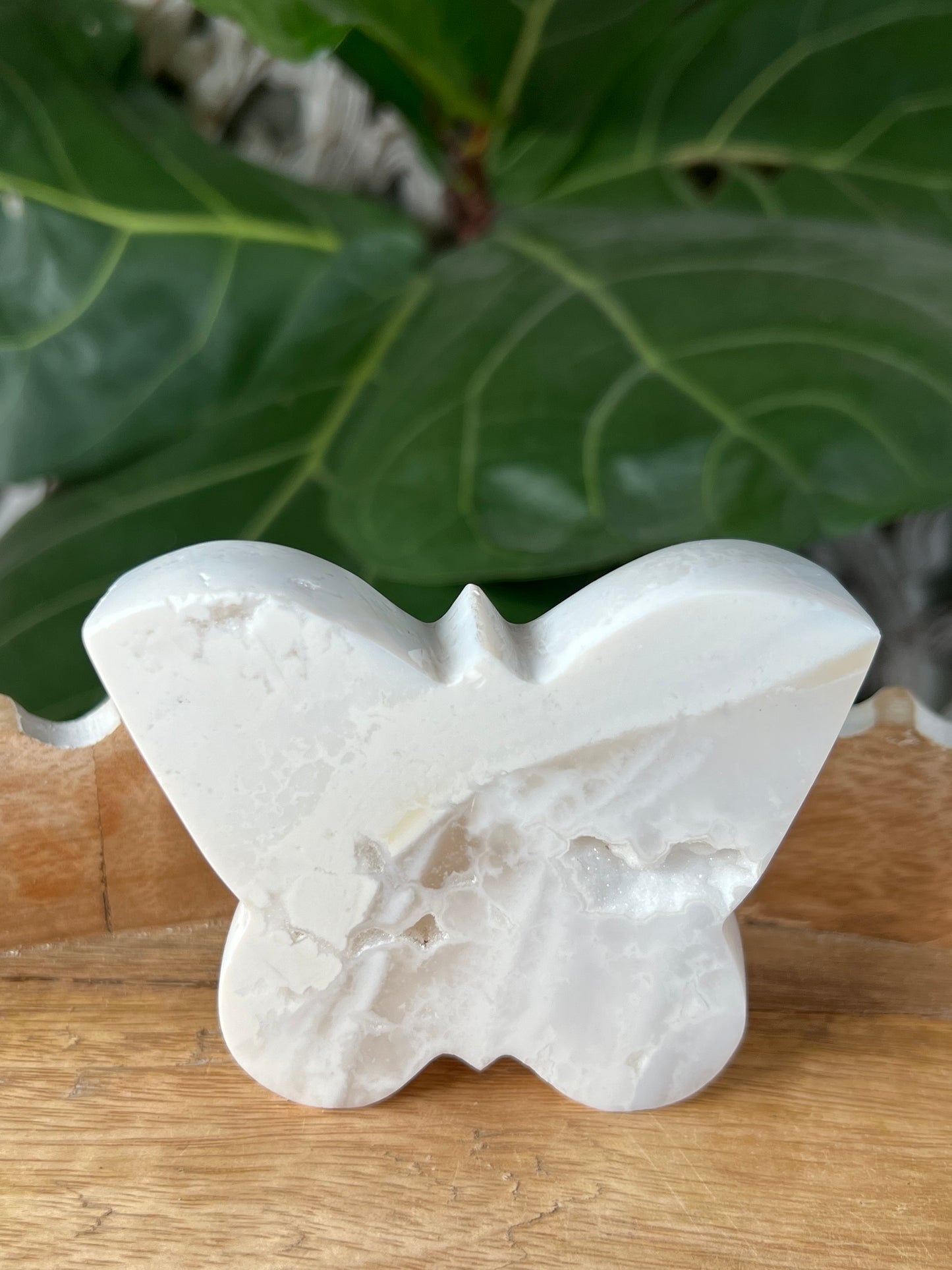 White Plume Agate Butterfly