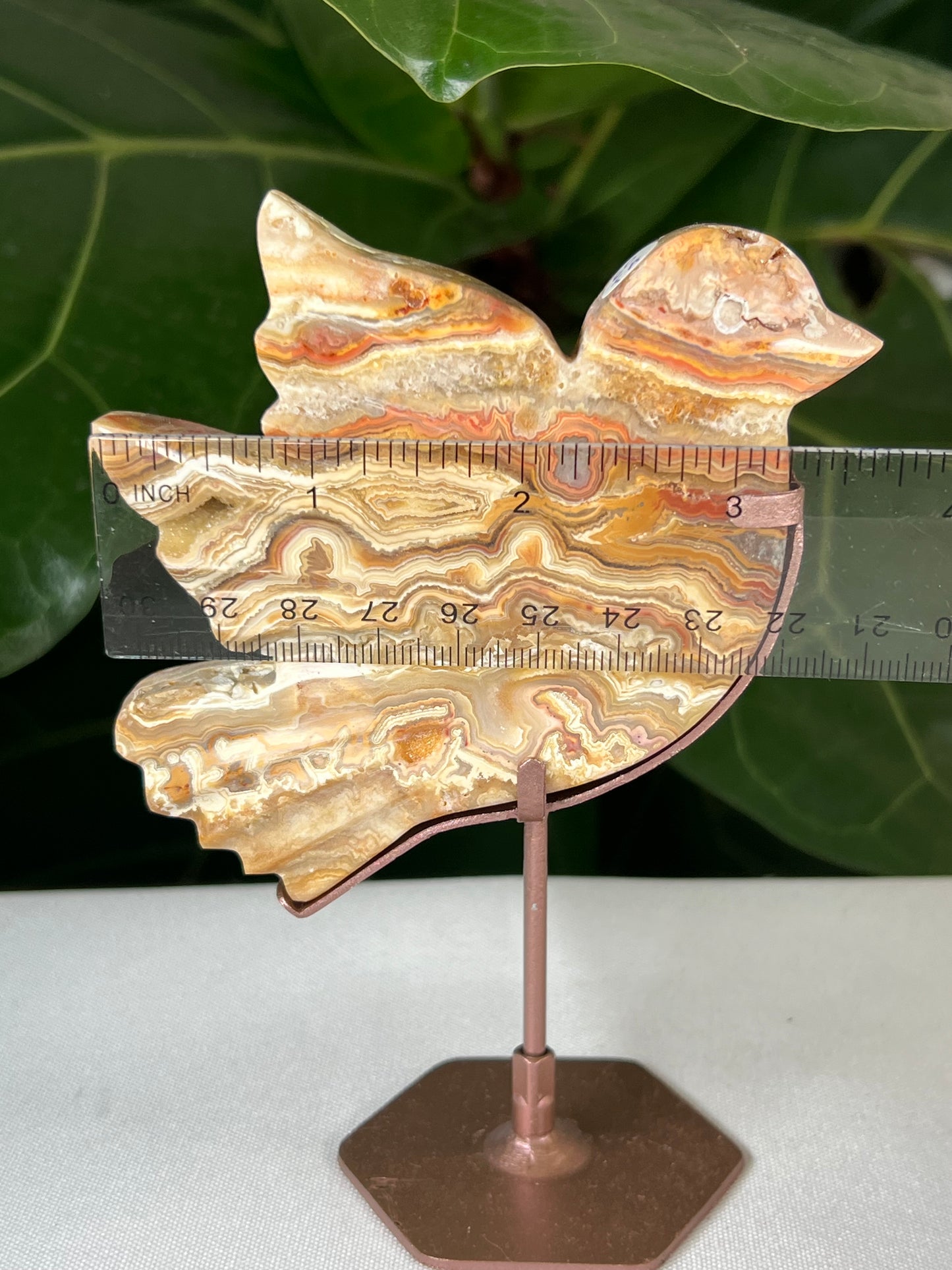 Crazy Lace Agate Bird