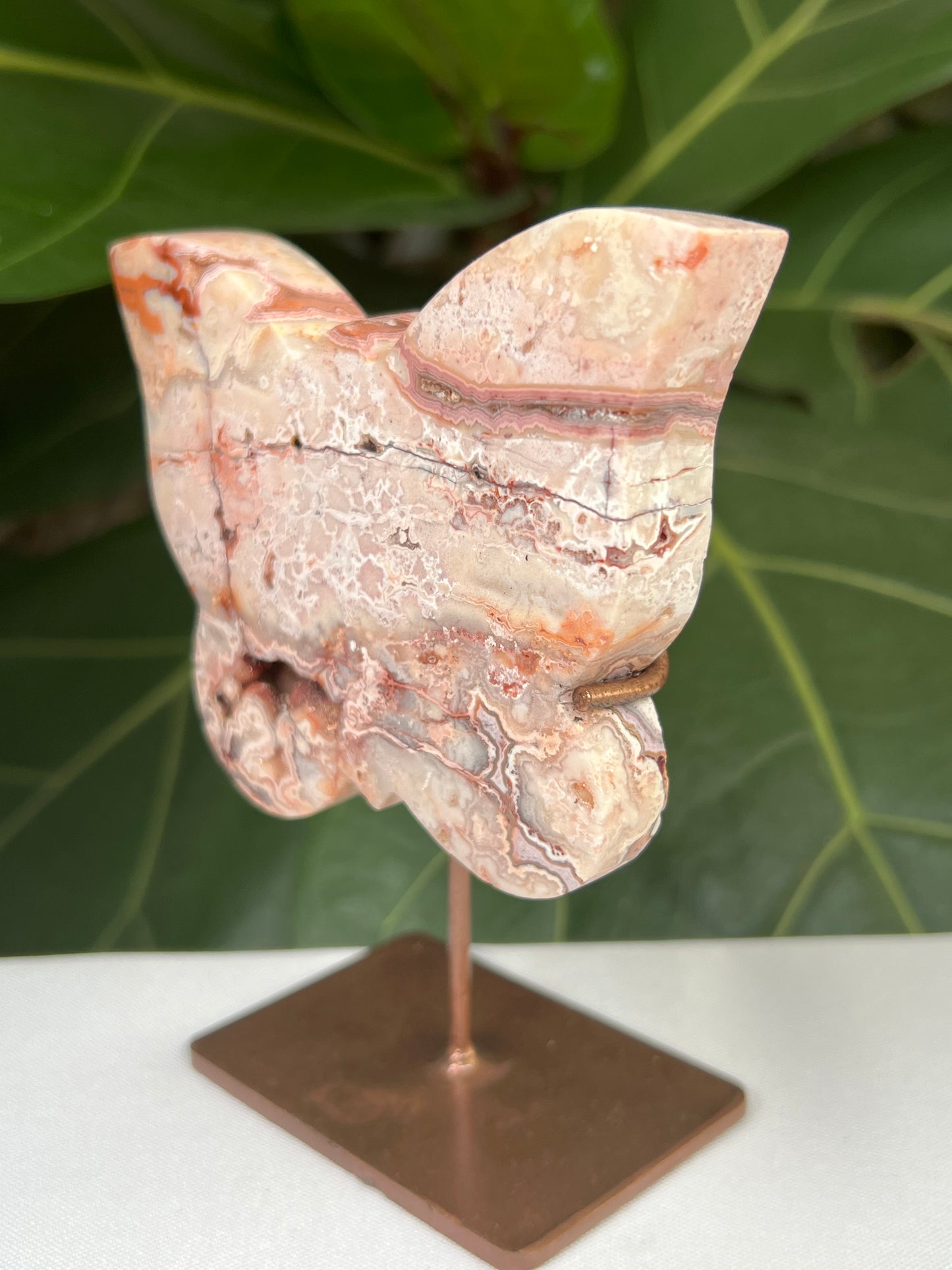 Crazy Lace Agate Butterfly