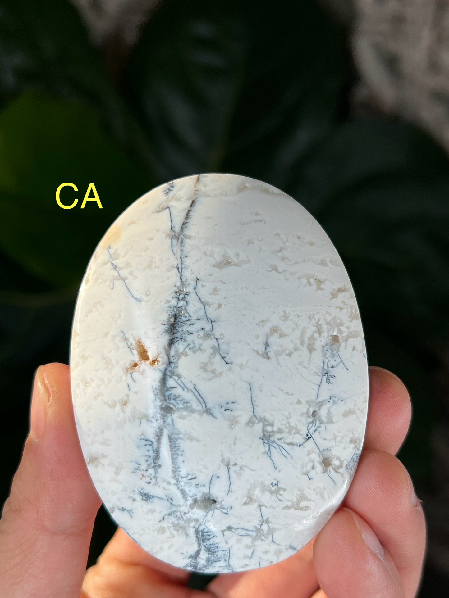 Dendritic Agate Palmstones