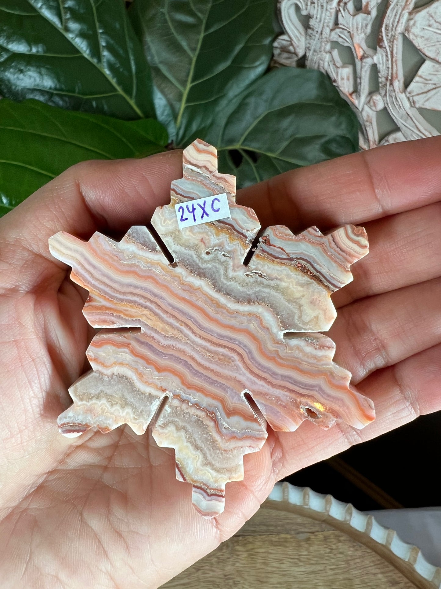 Crazy Lace Agate Snowflake