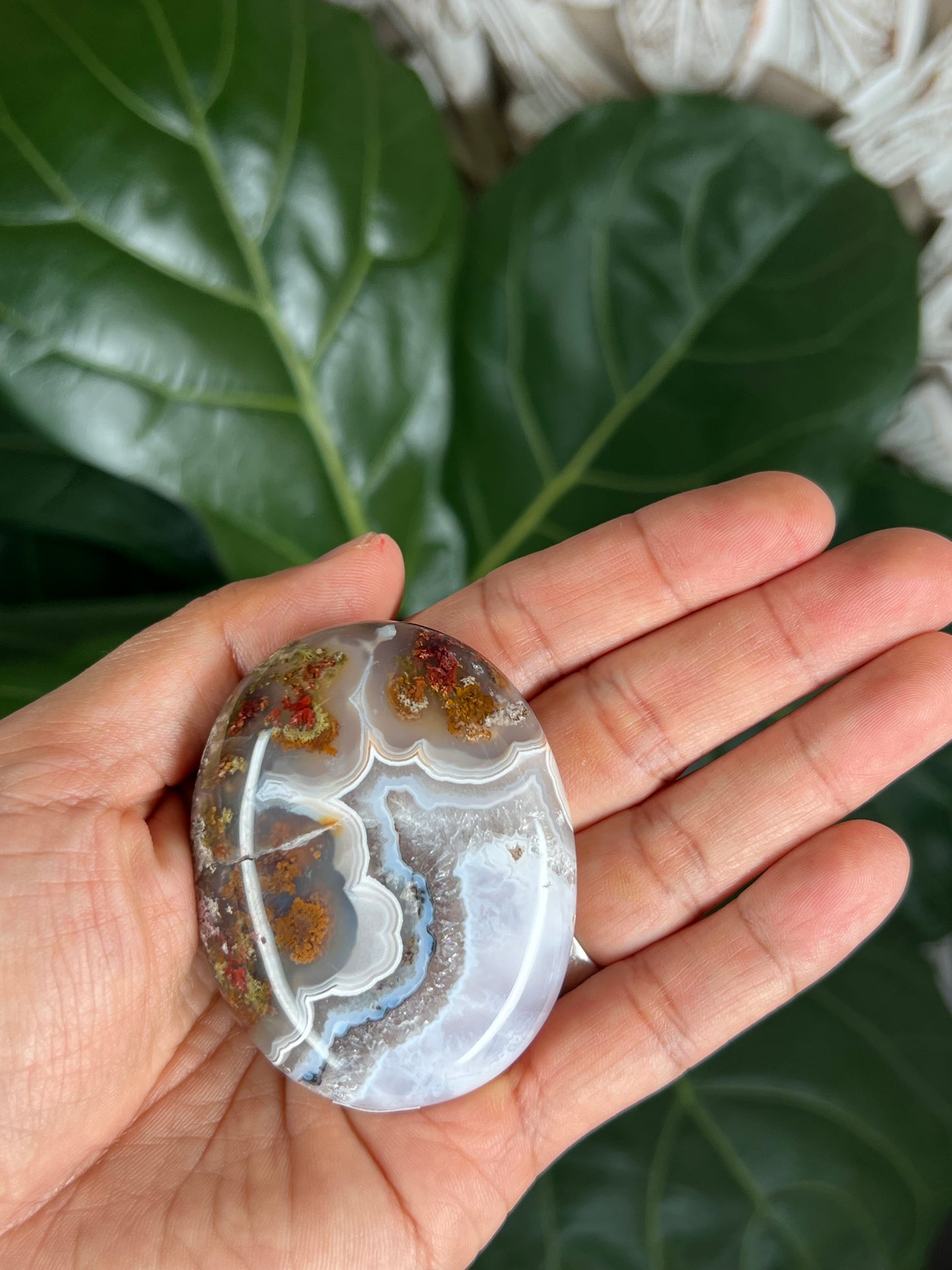 Scenic Moss Agate Palmstone