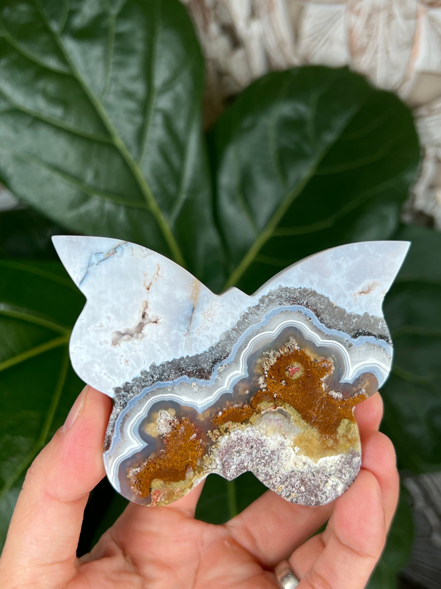 Scenic Moss Agate Butterfly