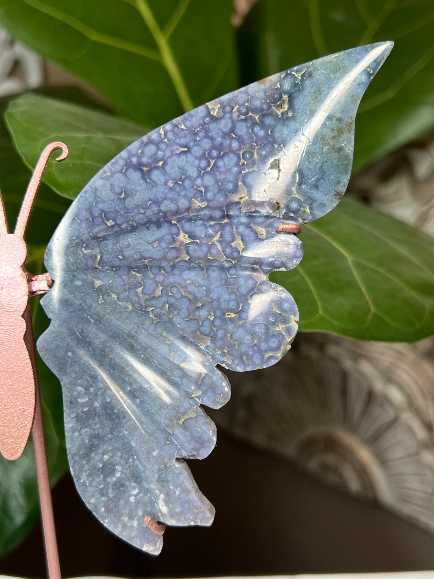 Grape Agate Wings