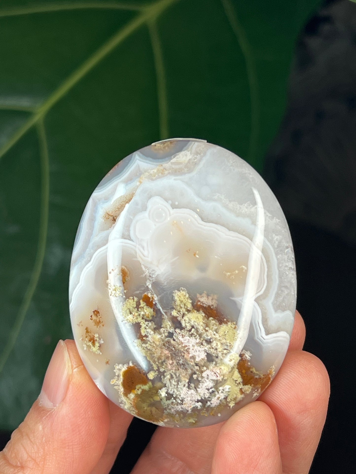 Scenic Moss Agate Palmstone