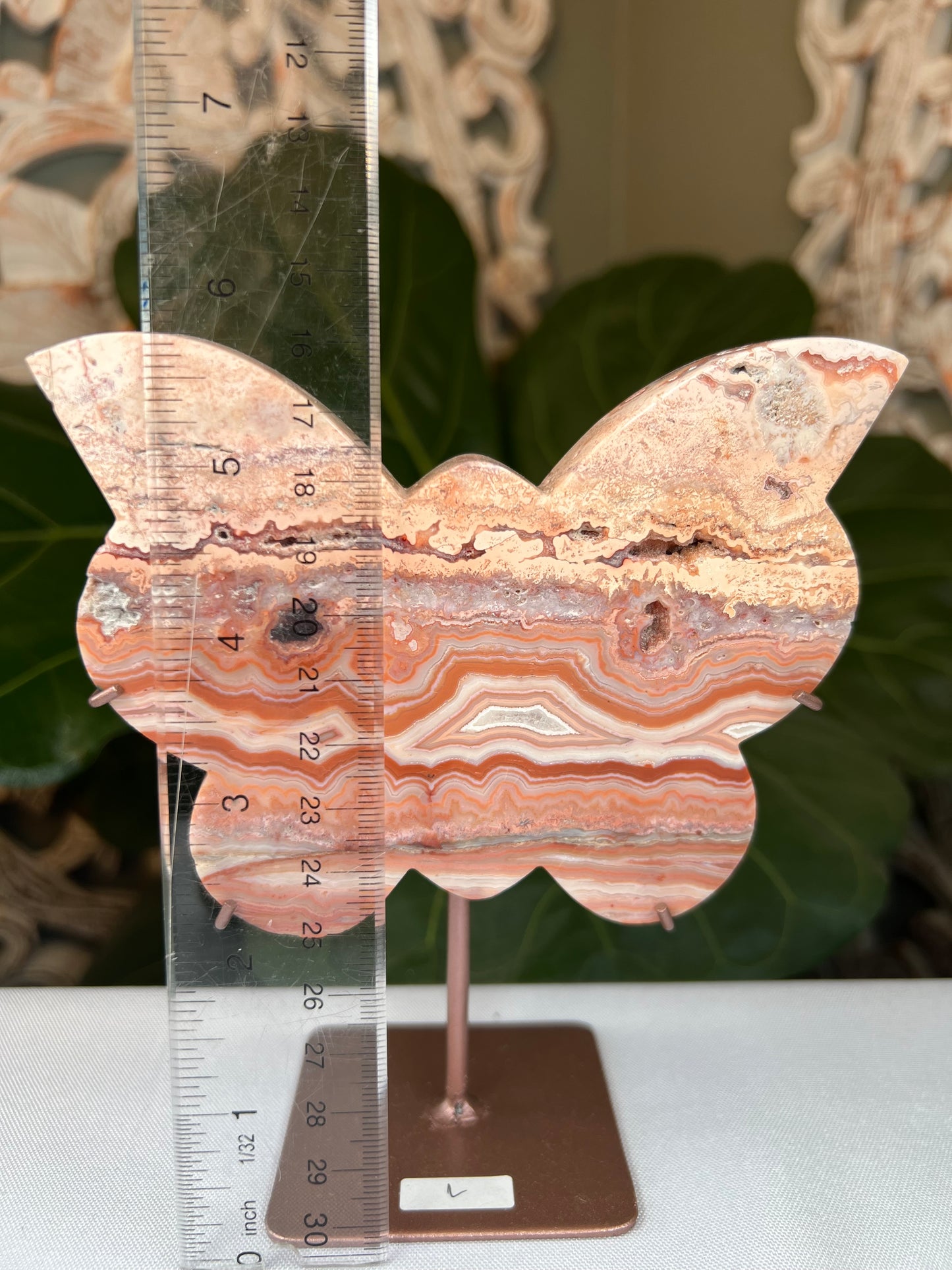 Crazy Lace Agate Butterfly