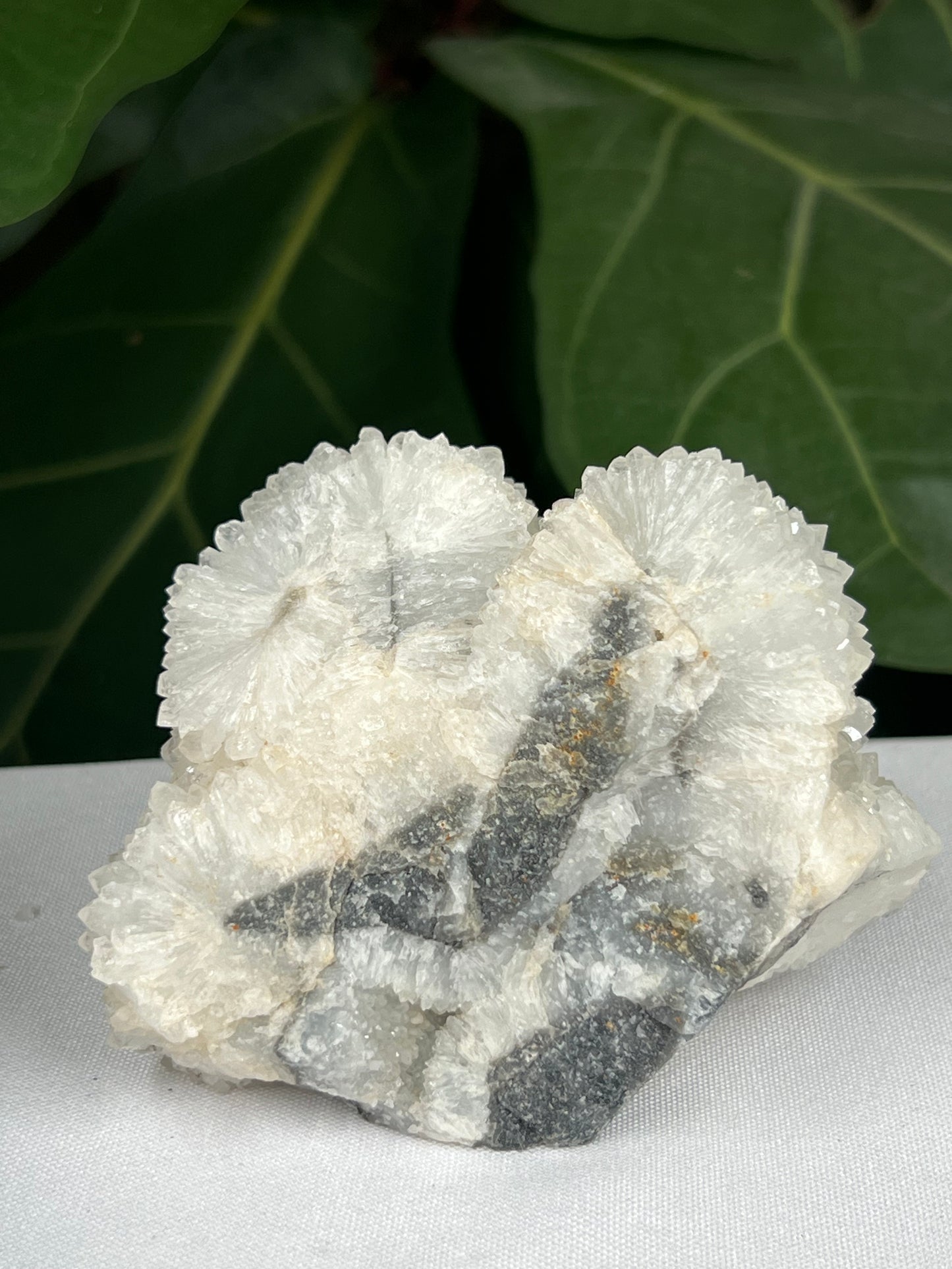 Sphalerite Druzy Freeform