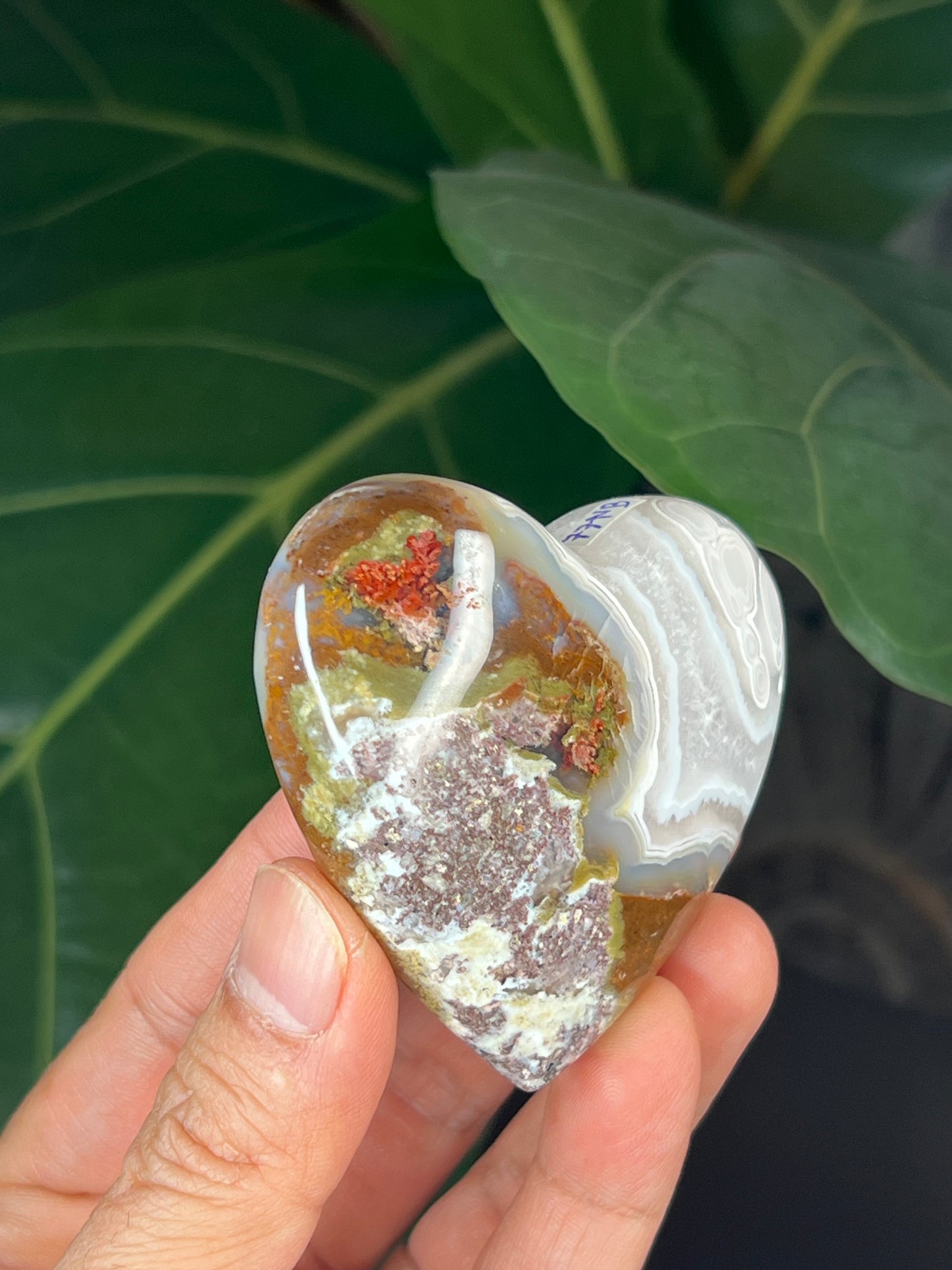 Scenic Moss Agate Heart