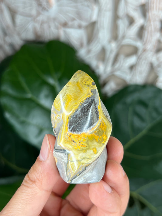 Bumblebee Jasper Flame