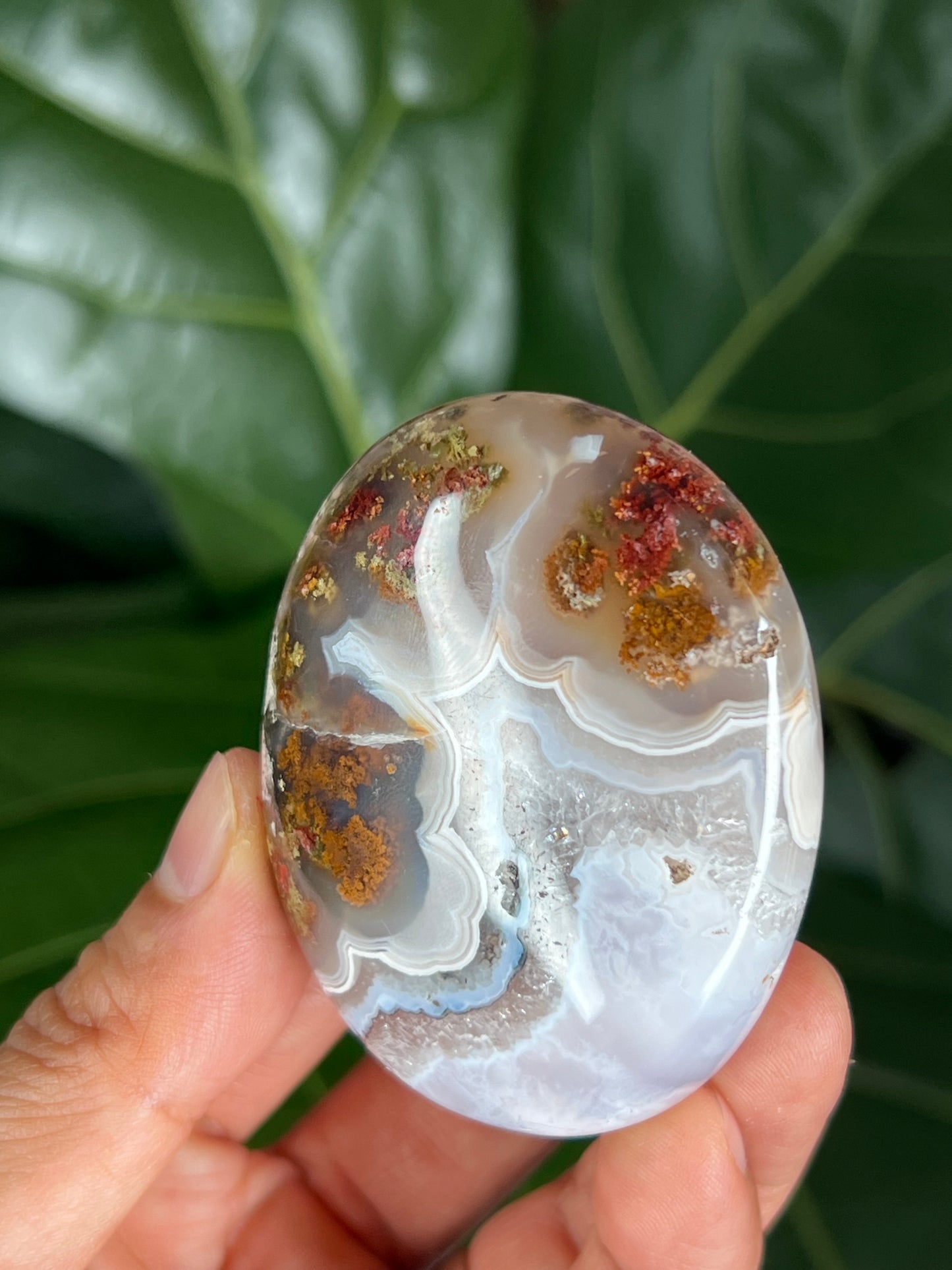 Scenic Moss Agate Palmstone