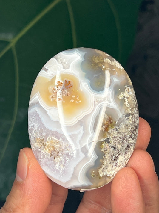 Scenic Moss Agate Palmstone