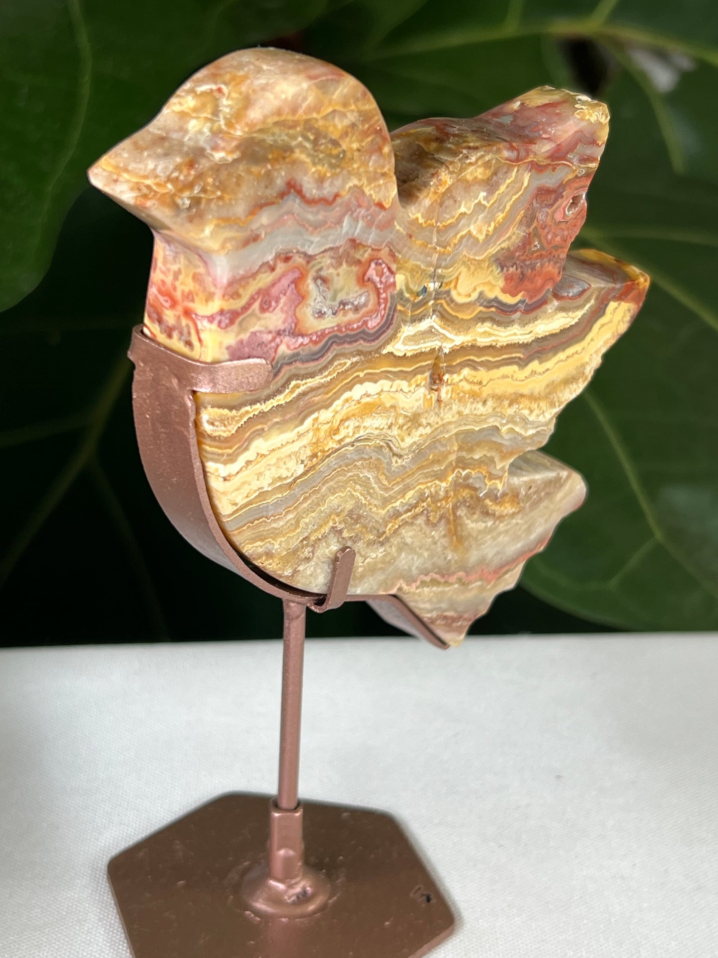 Crazy Lace Agate Bird