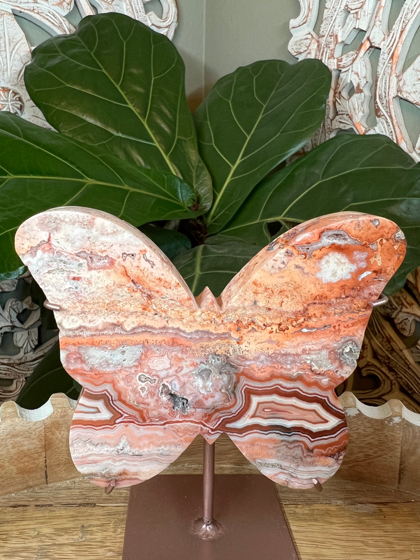 Crazy Lace Agate Butterfly