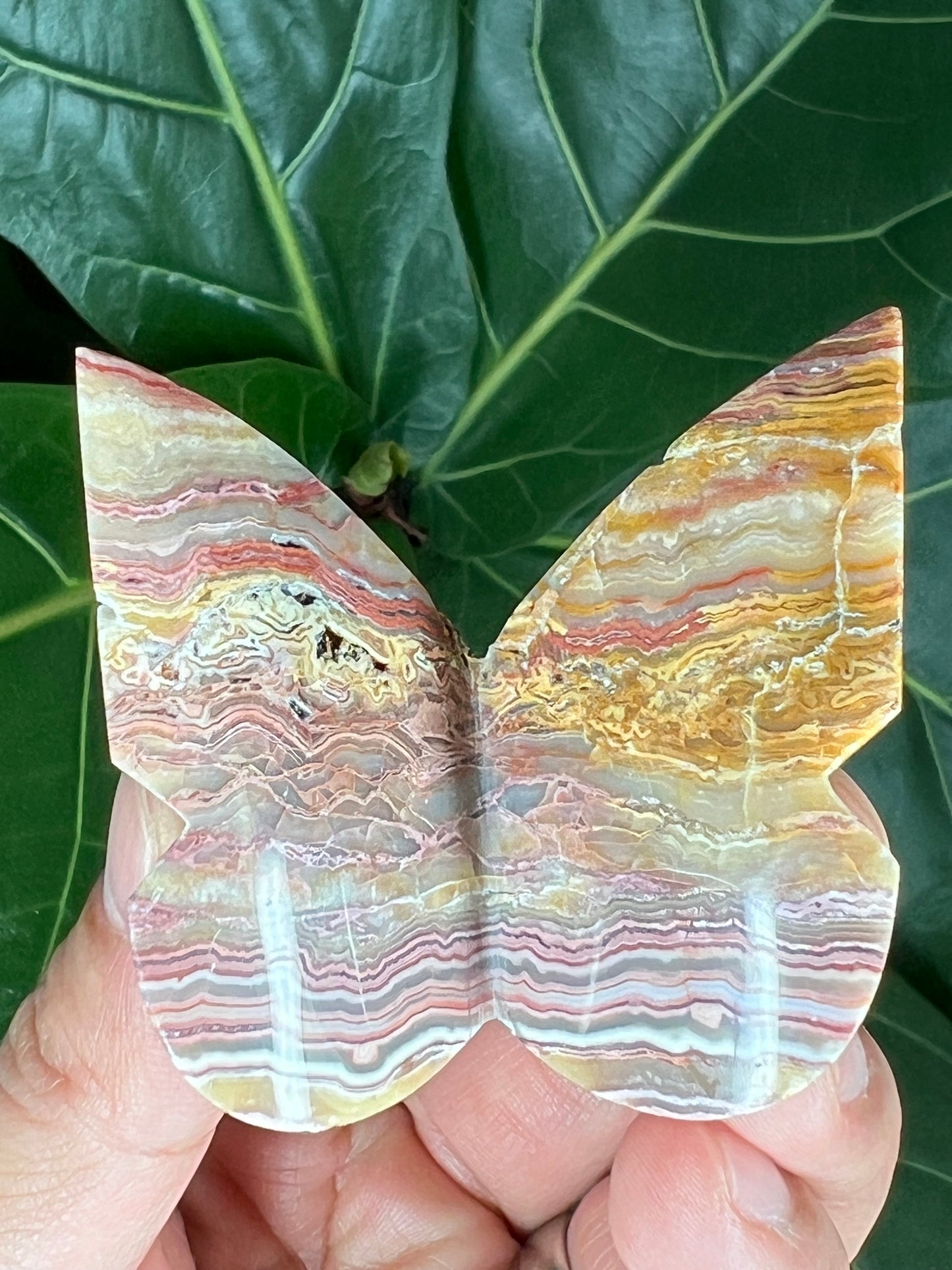 3D Butterfly Crazy Lace Agate