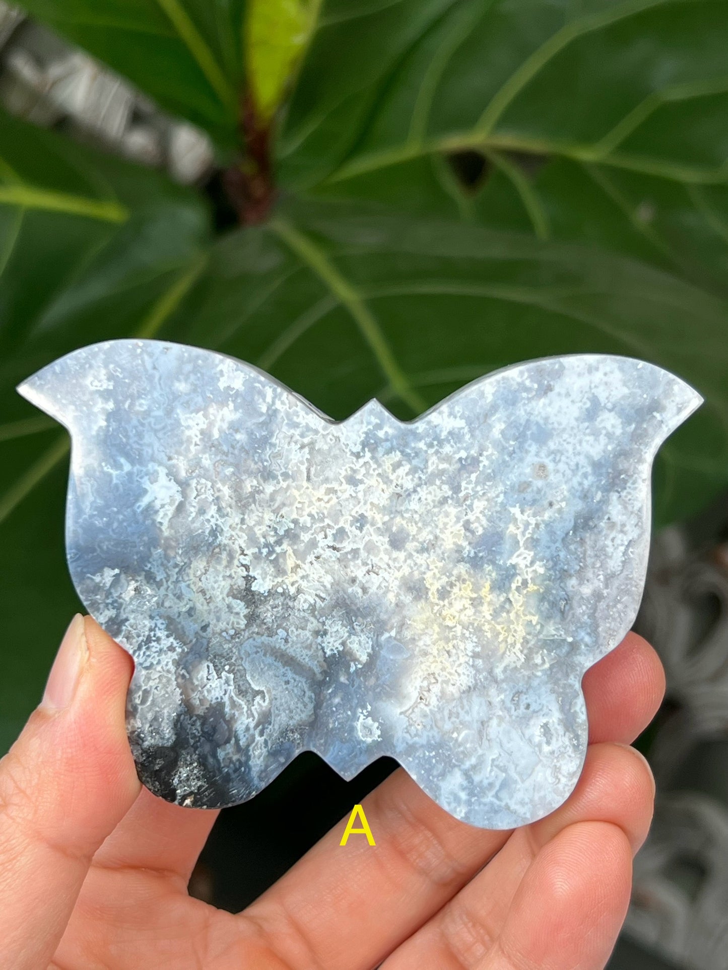 Blue Plume Agate Butterfly