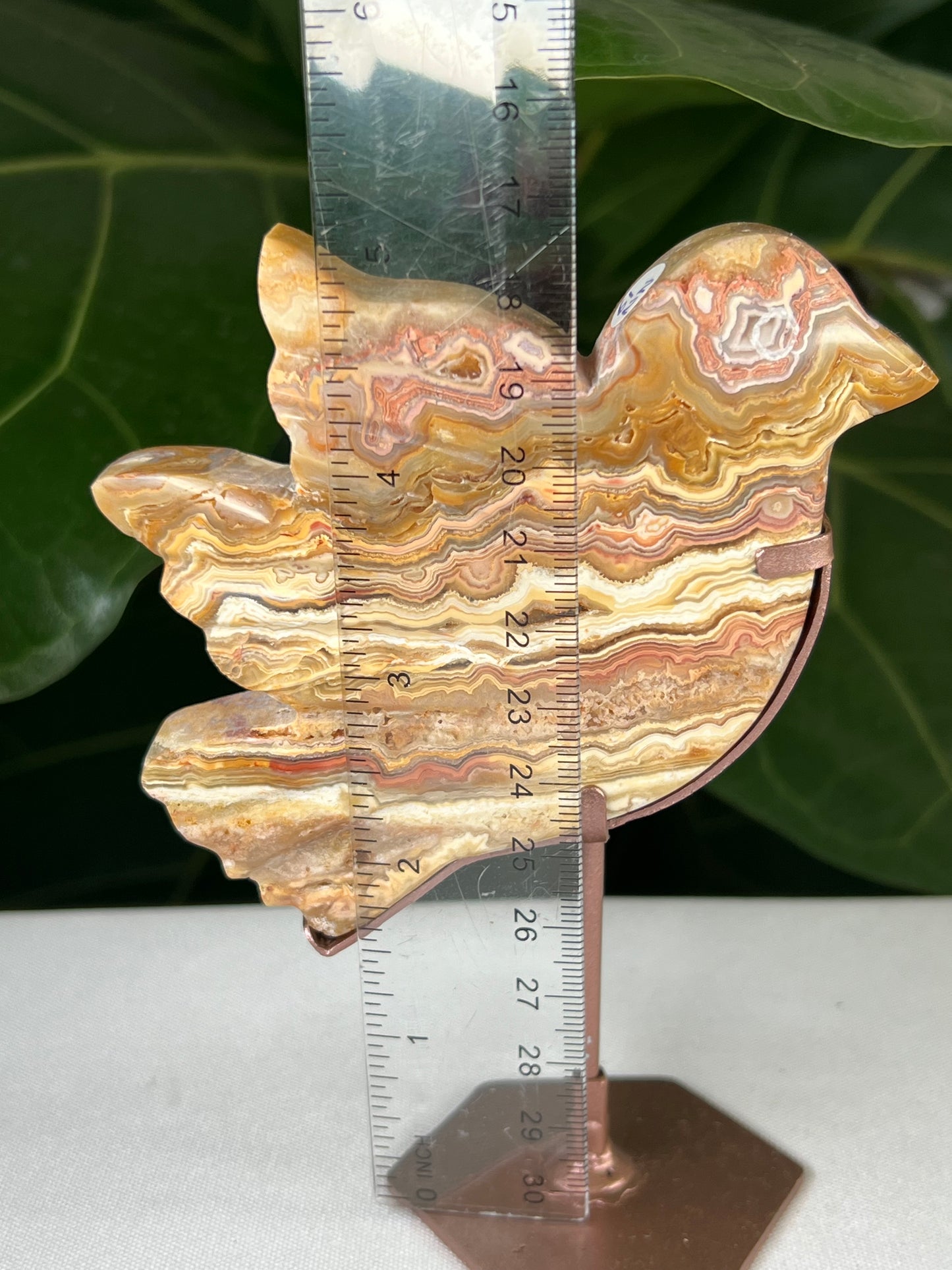 Crazy Lace Agate Bird