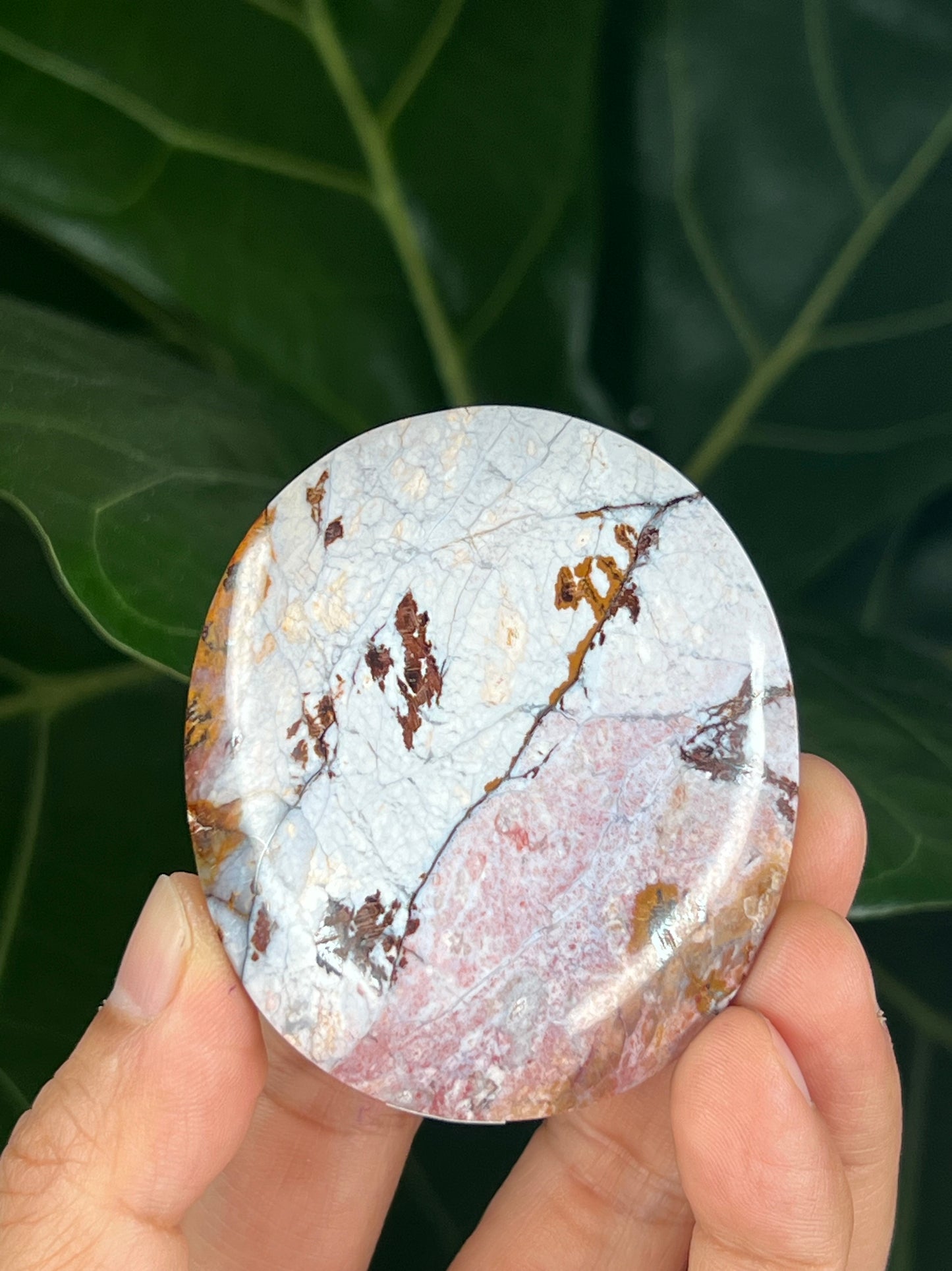 River Jasper Palmstone