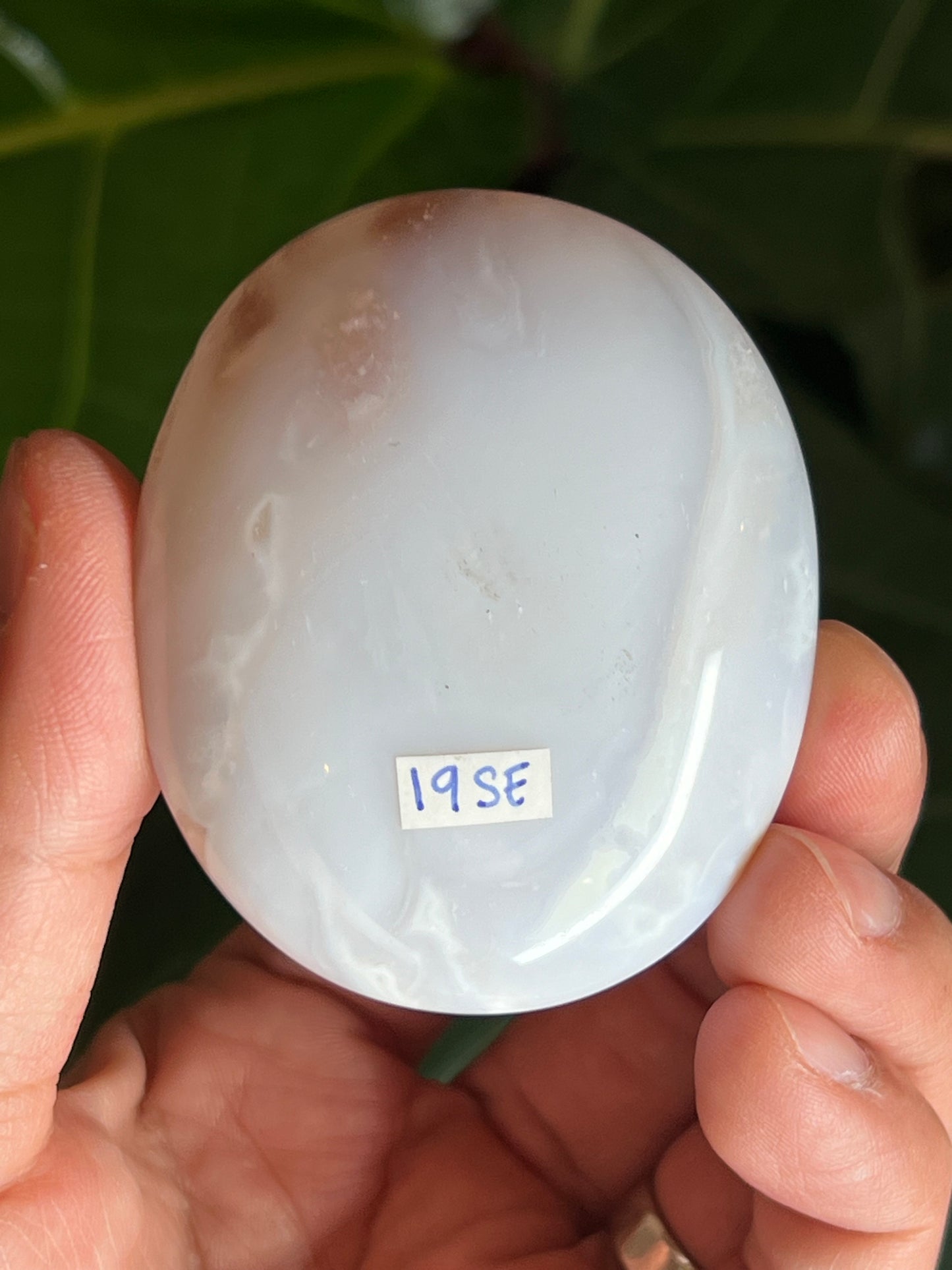 White Plume Agate Palmstone