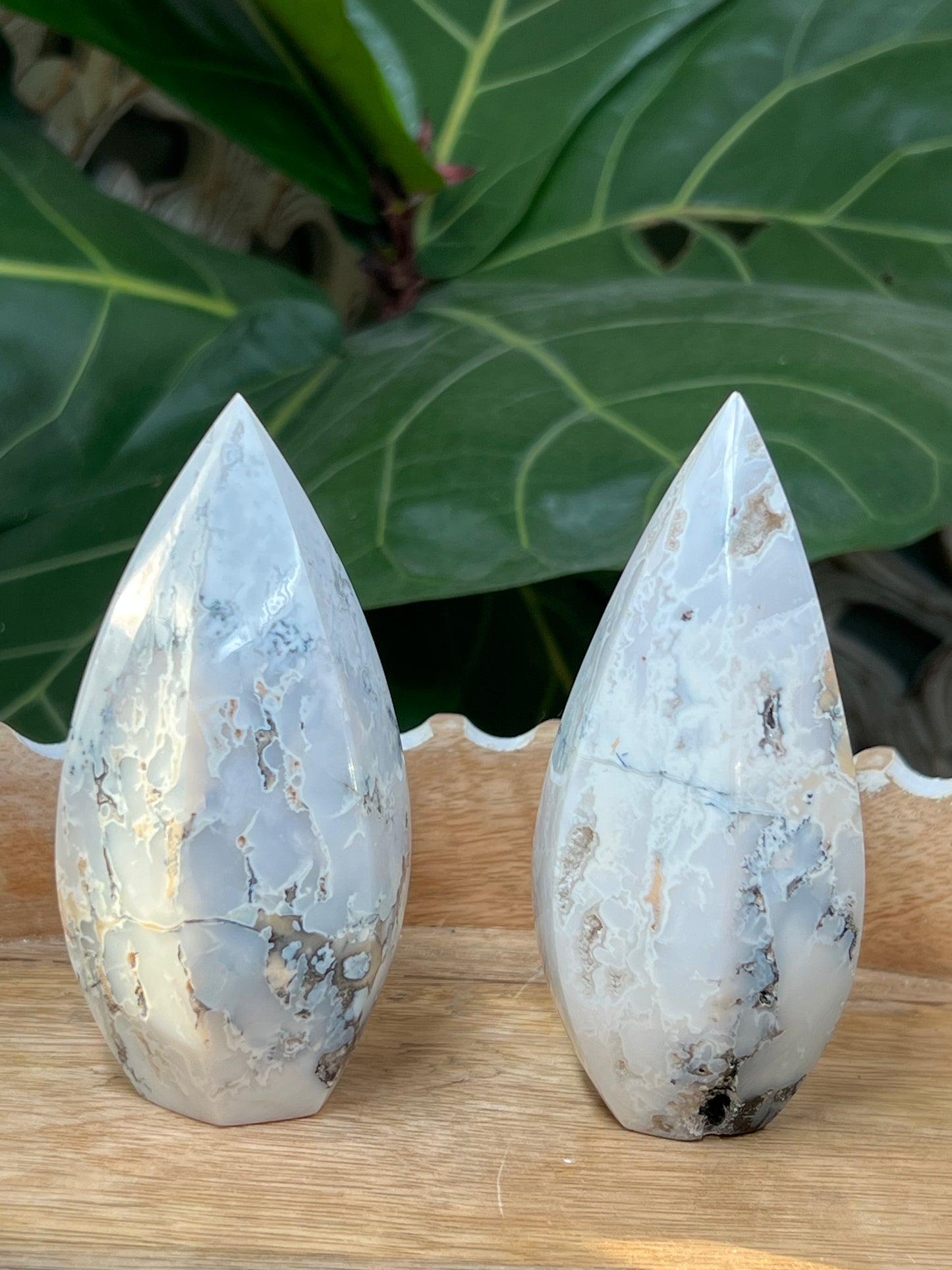 Dendritic Agate Bullet