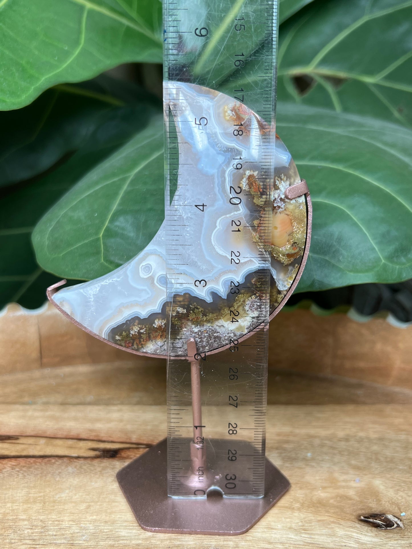 Scenic Moss Agate Moon on Stand