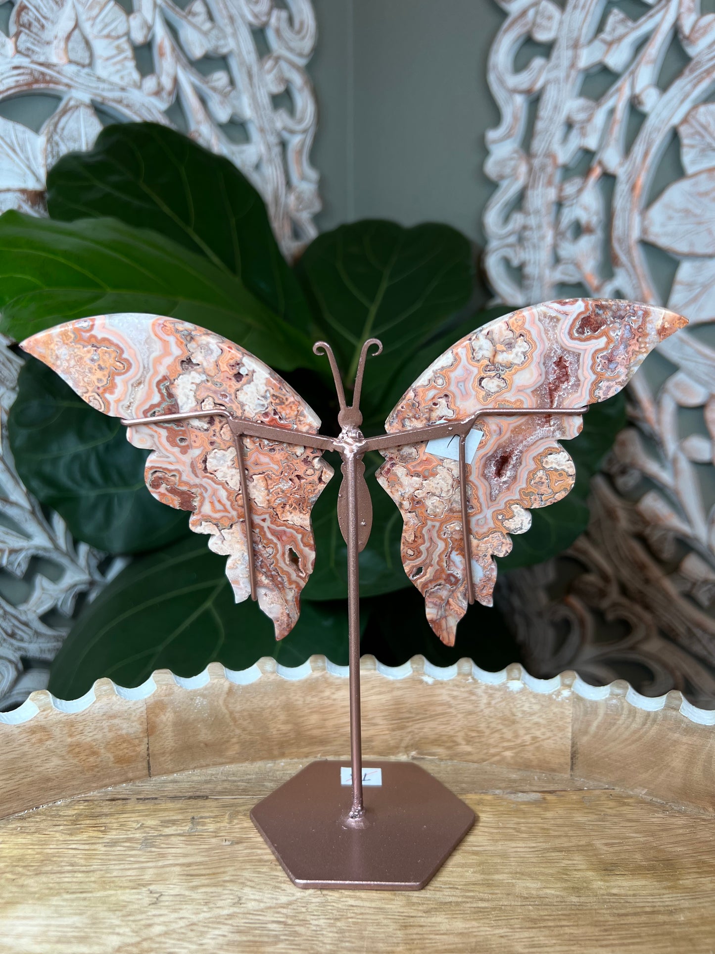 Crazy Lace Agate Wings