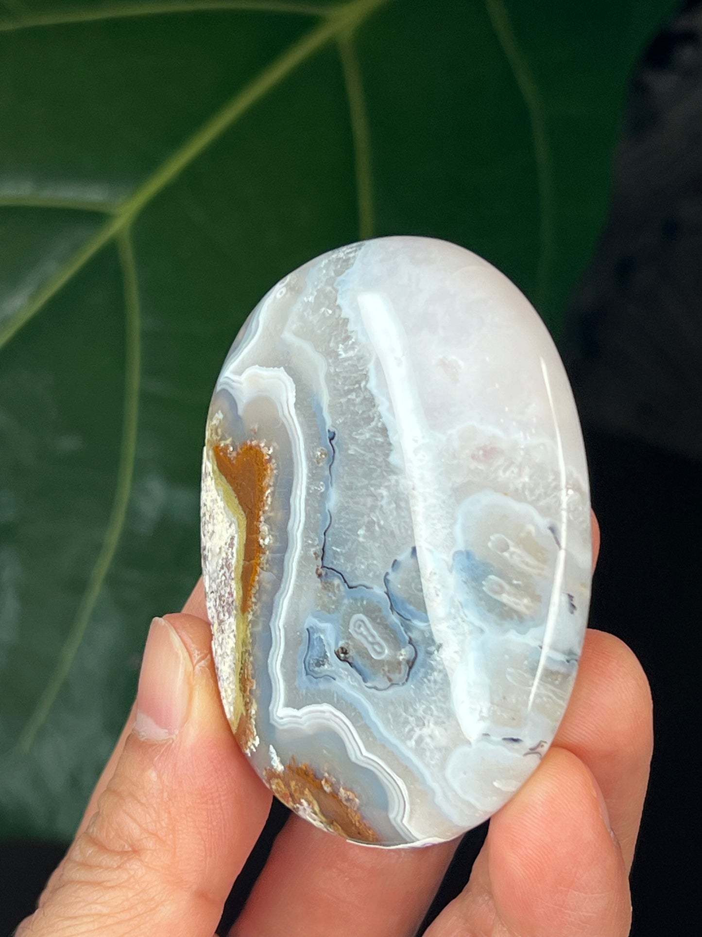 Scenic Moss Agate Palmstone