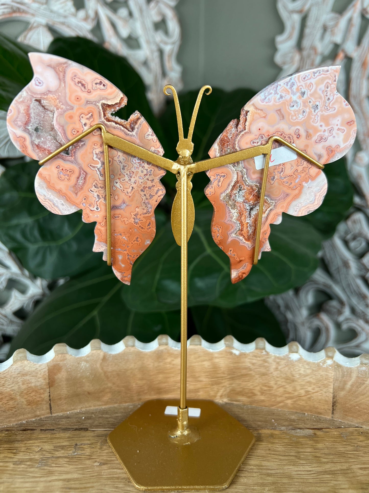 Crazy Lace Agate Wings