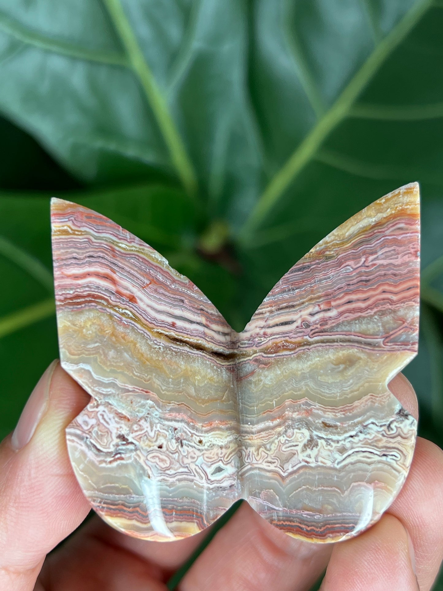 3D Butterfly Crazy Lace Agate