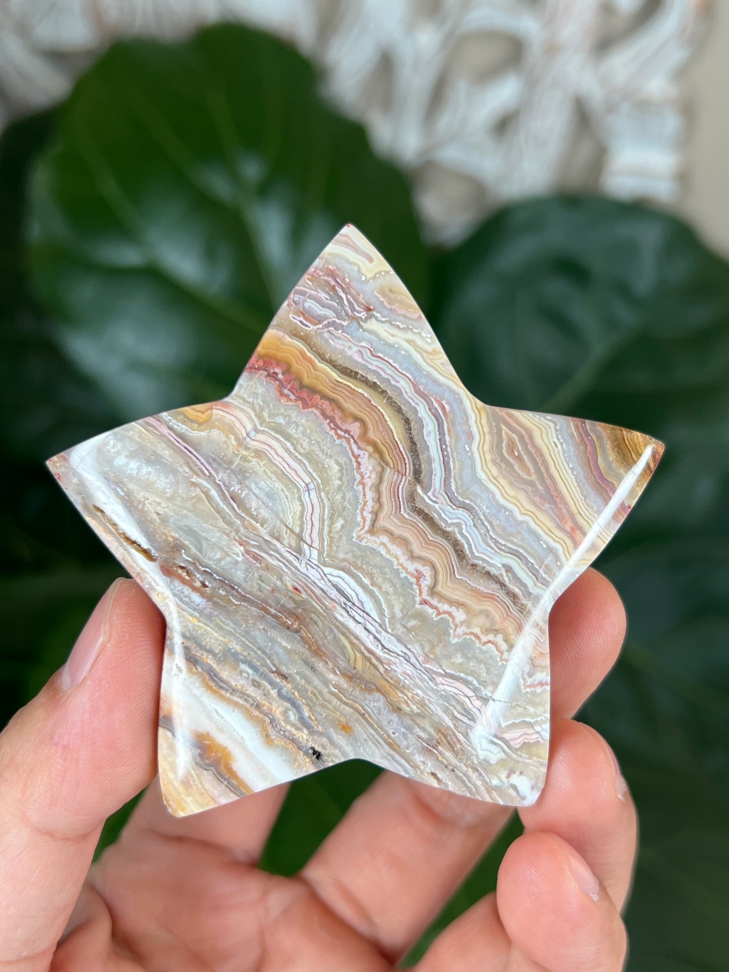 Crazy Lace Agate Star