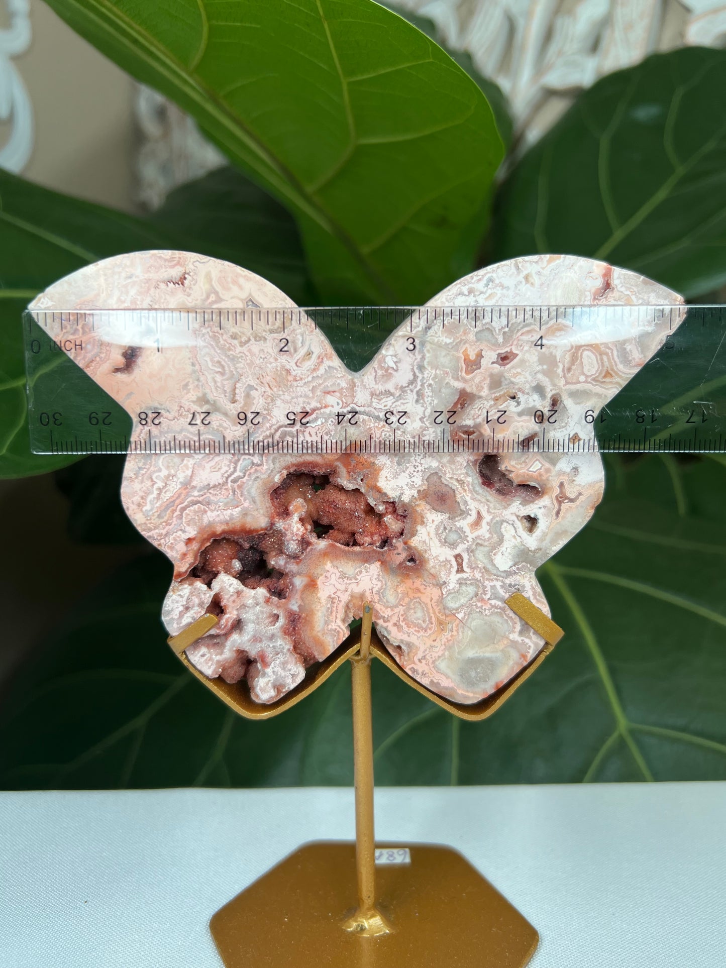 Crazy Lace Agate Butterfly