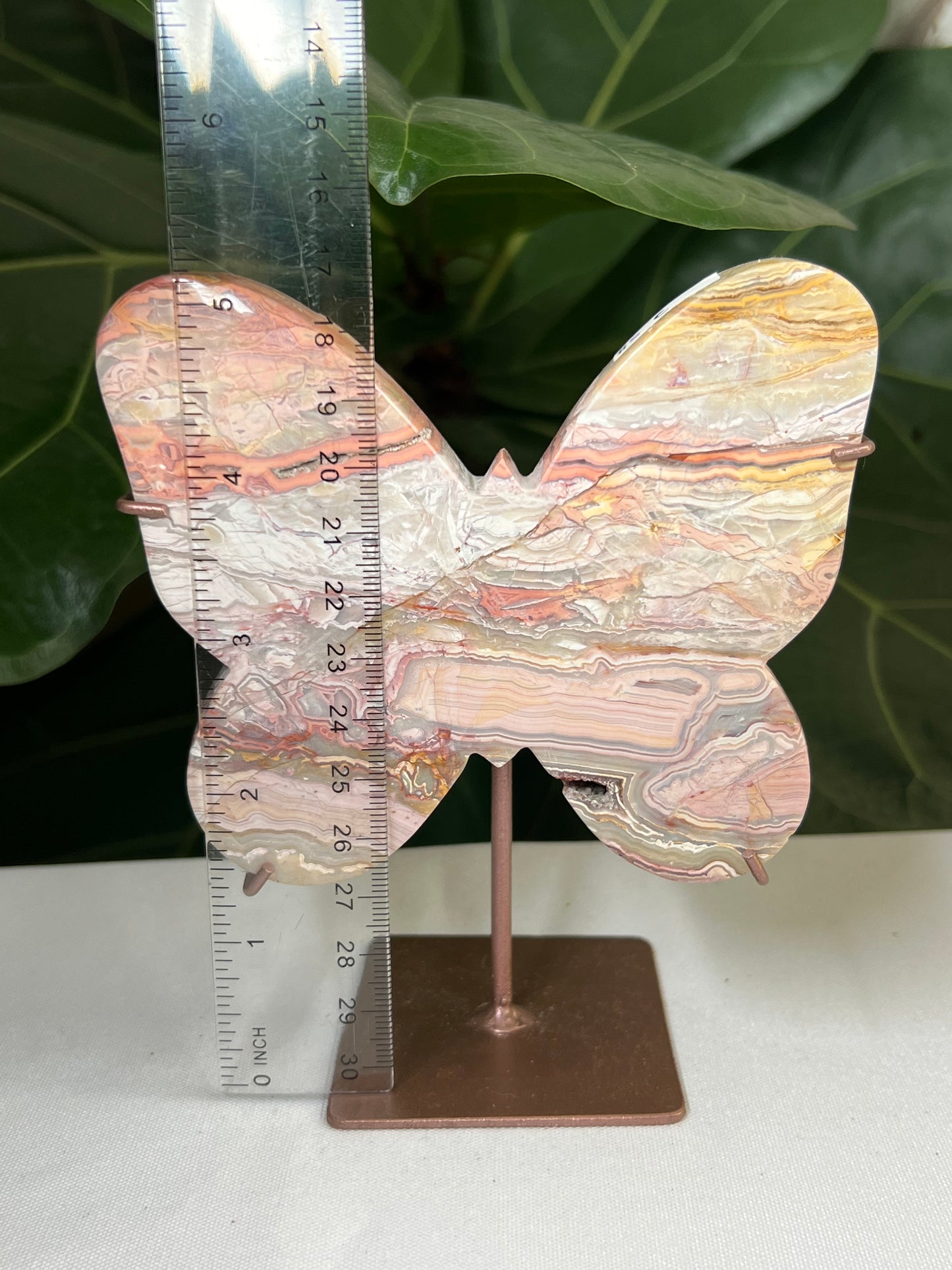 Crazy Lace Agate Butterfly