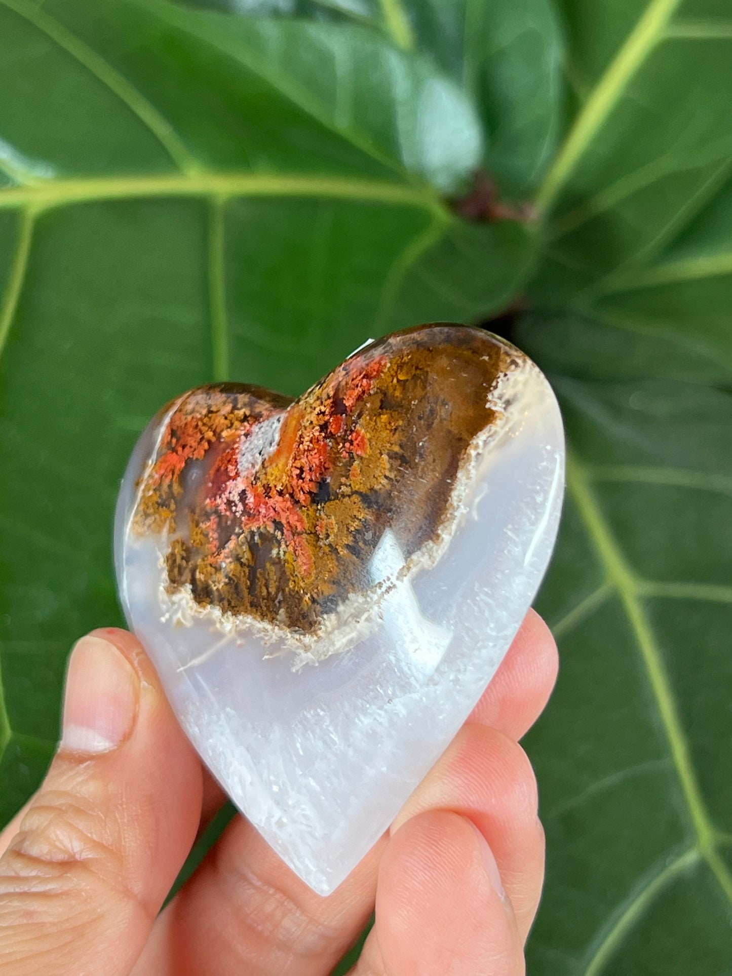 Scenic Moss Agate Heart